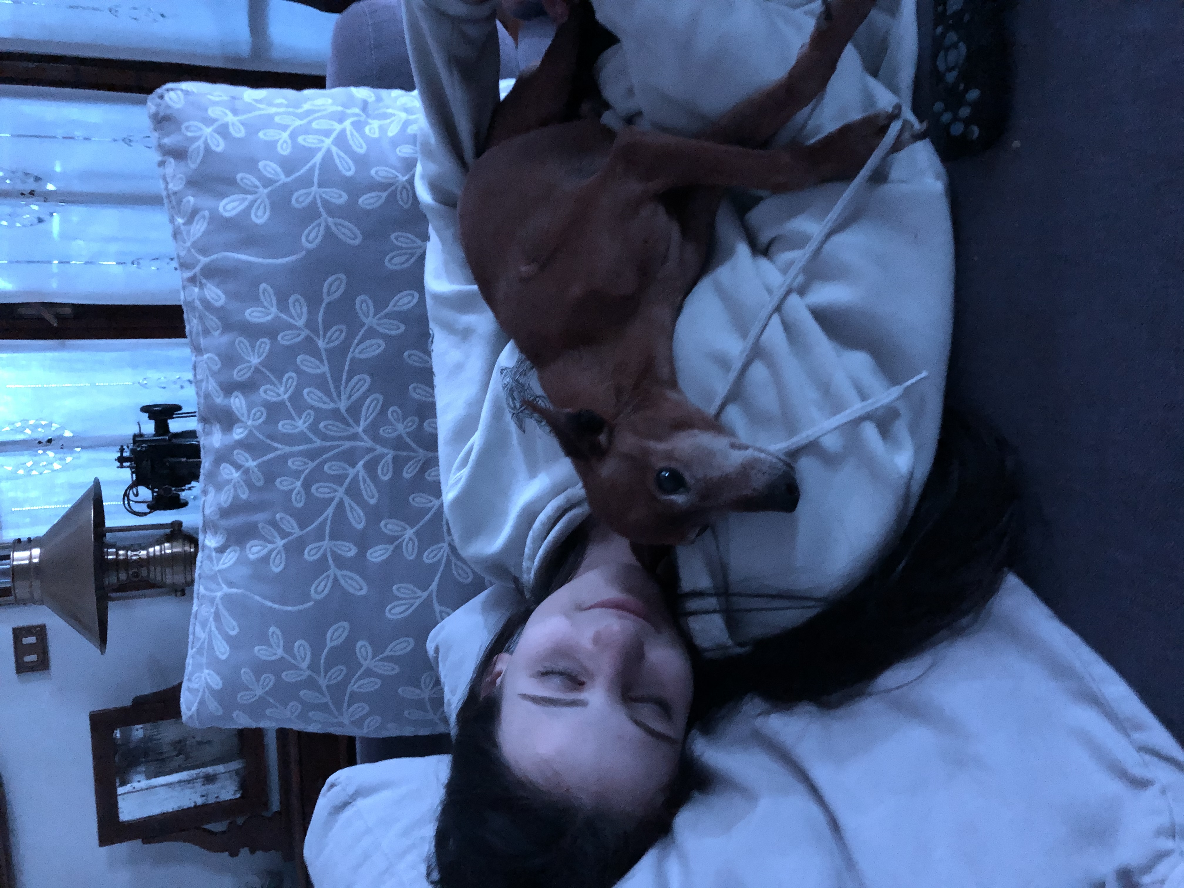 image-7