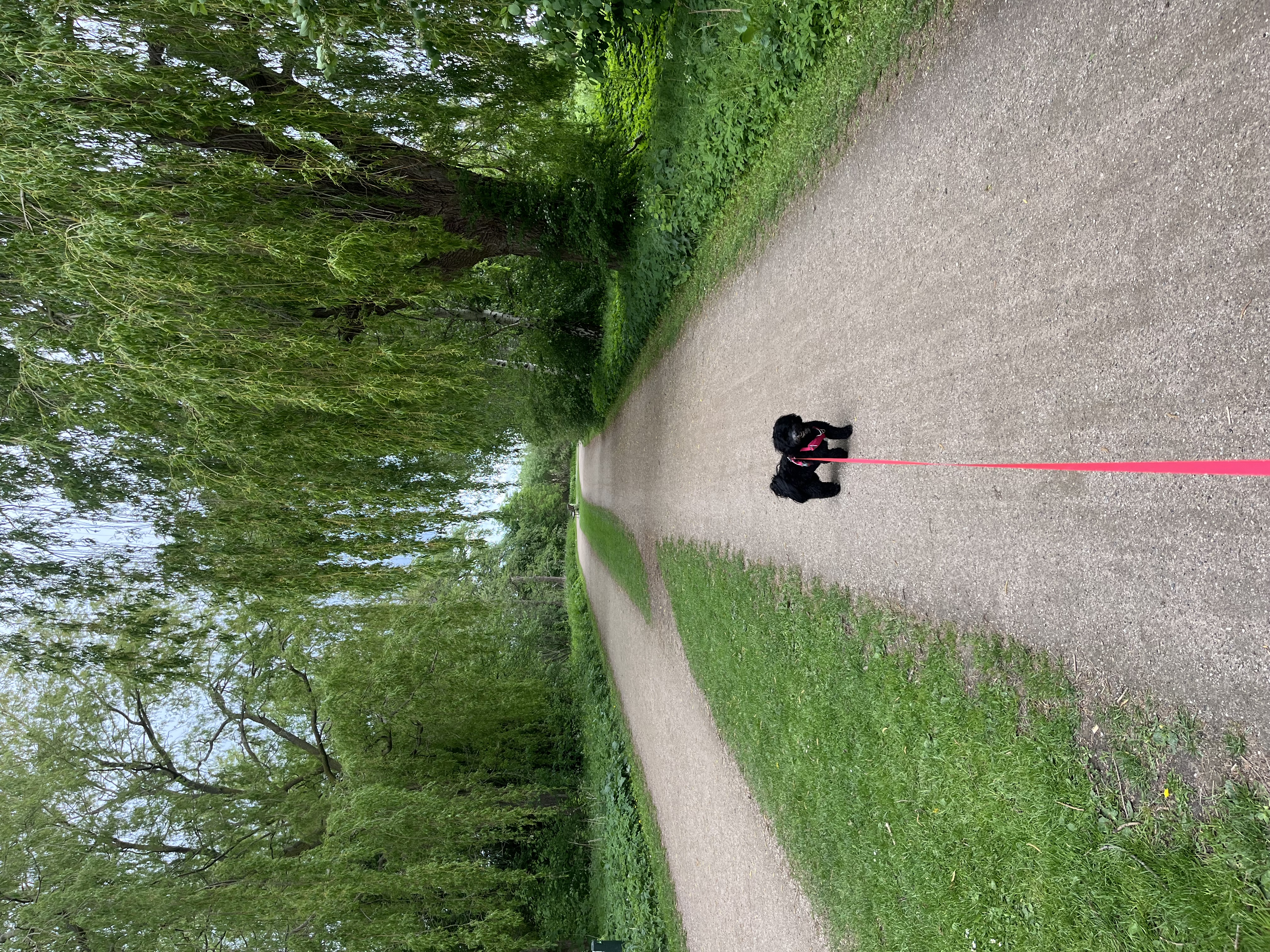 image-9