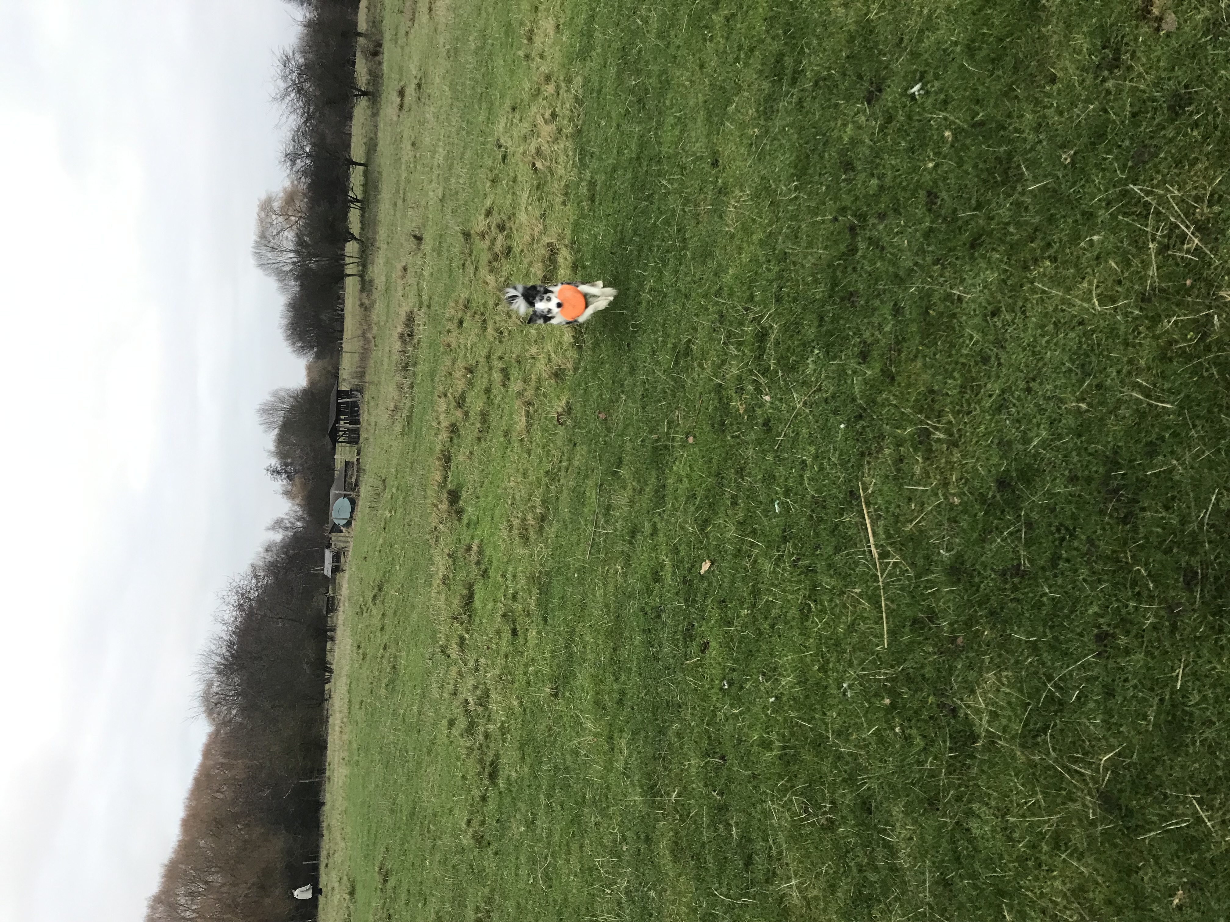 image-3