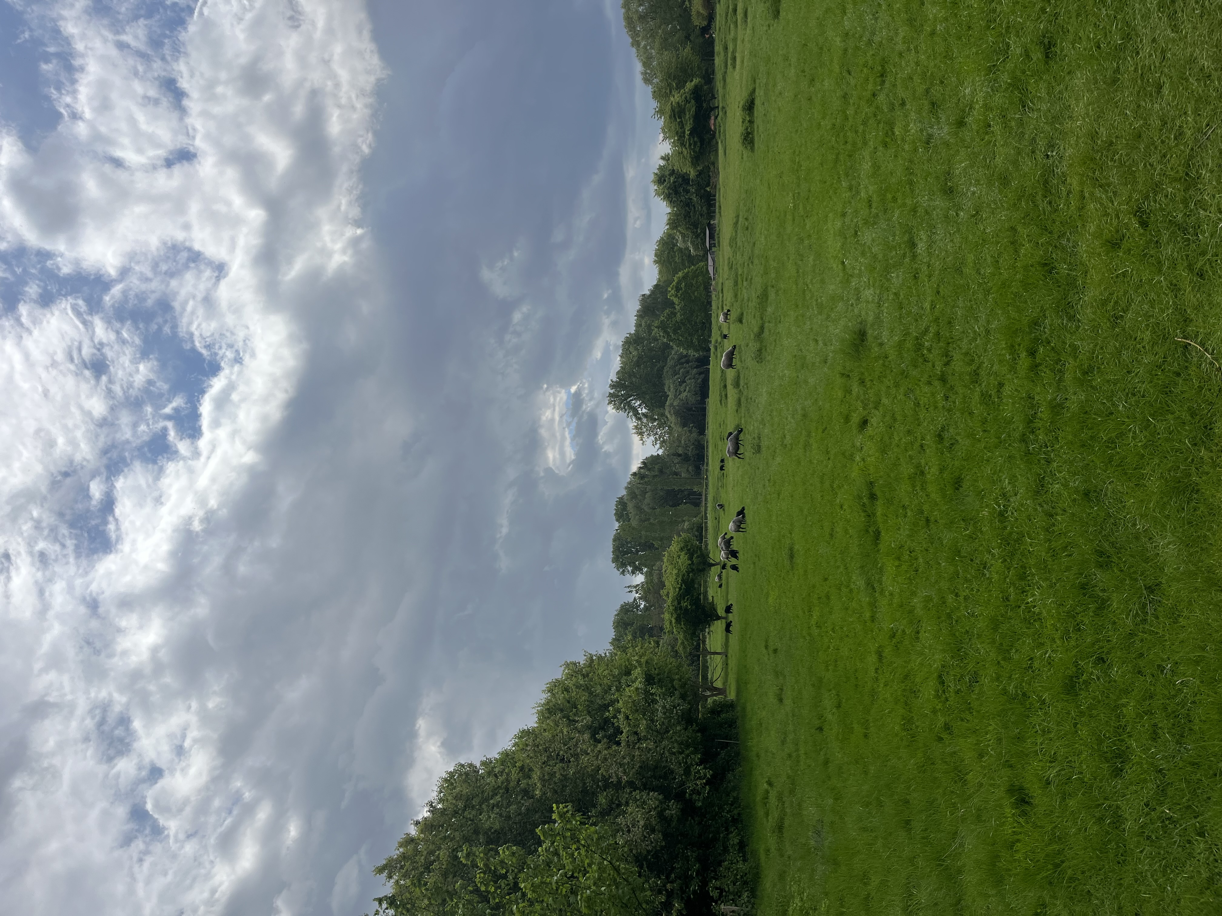 image-16