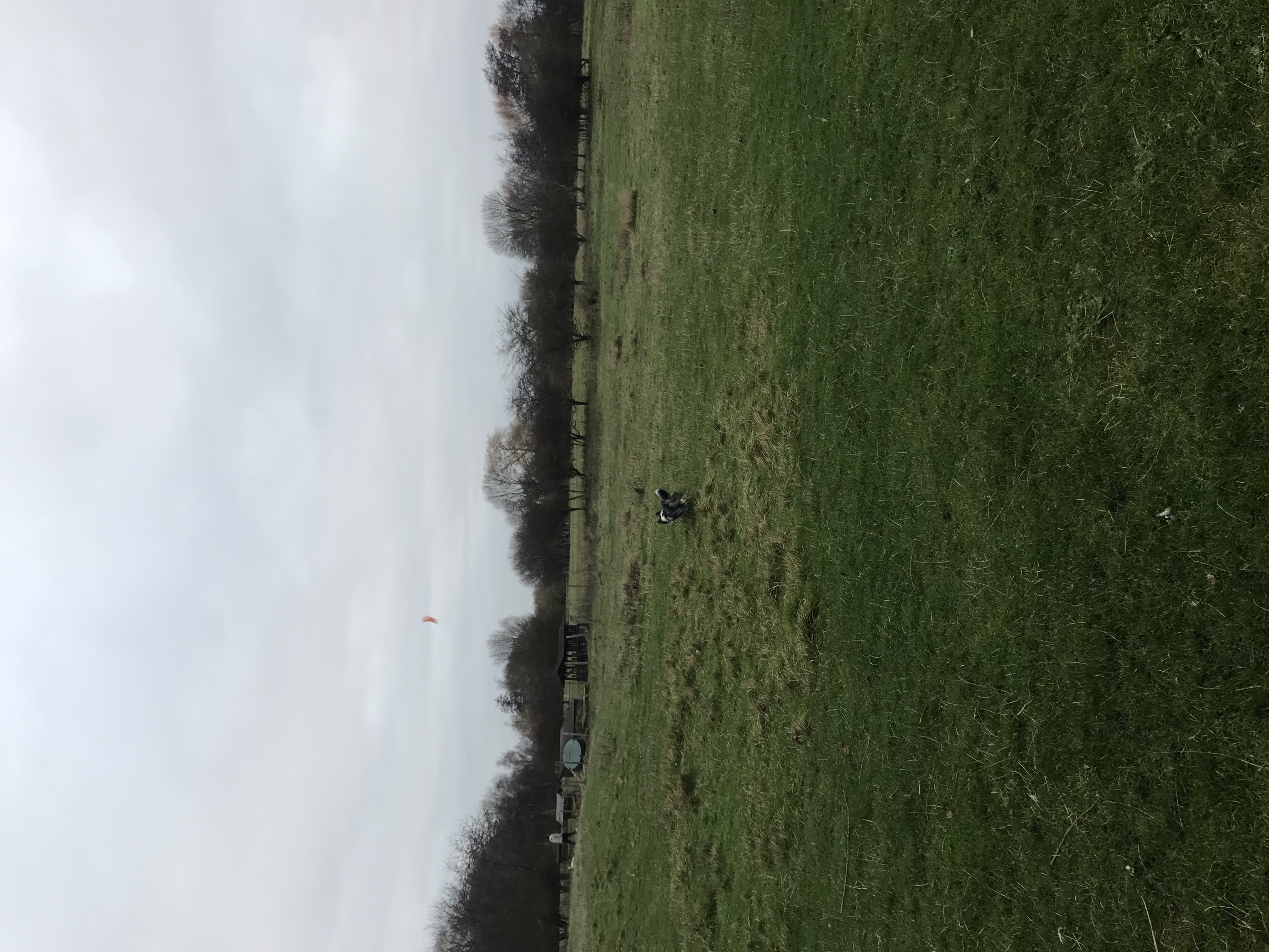 image-14