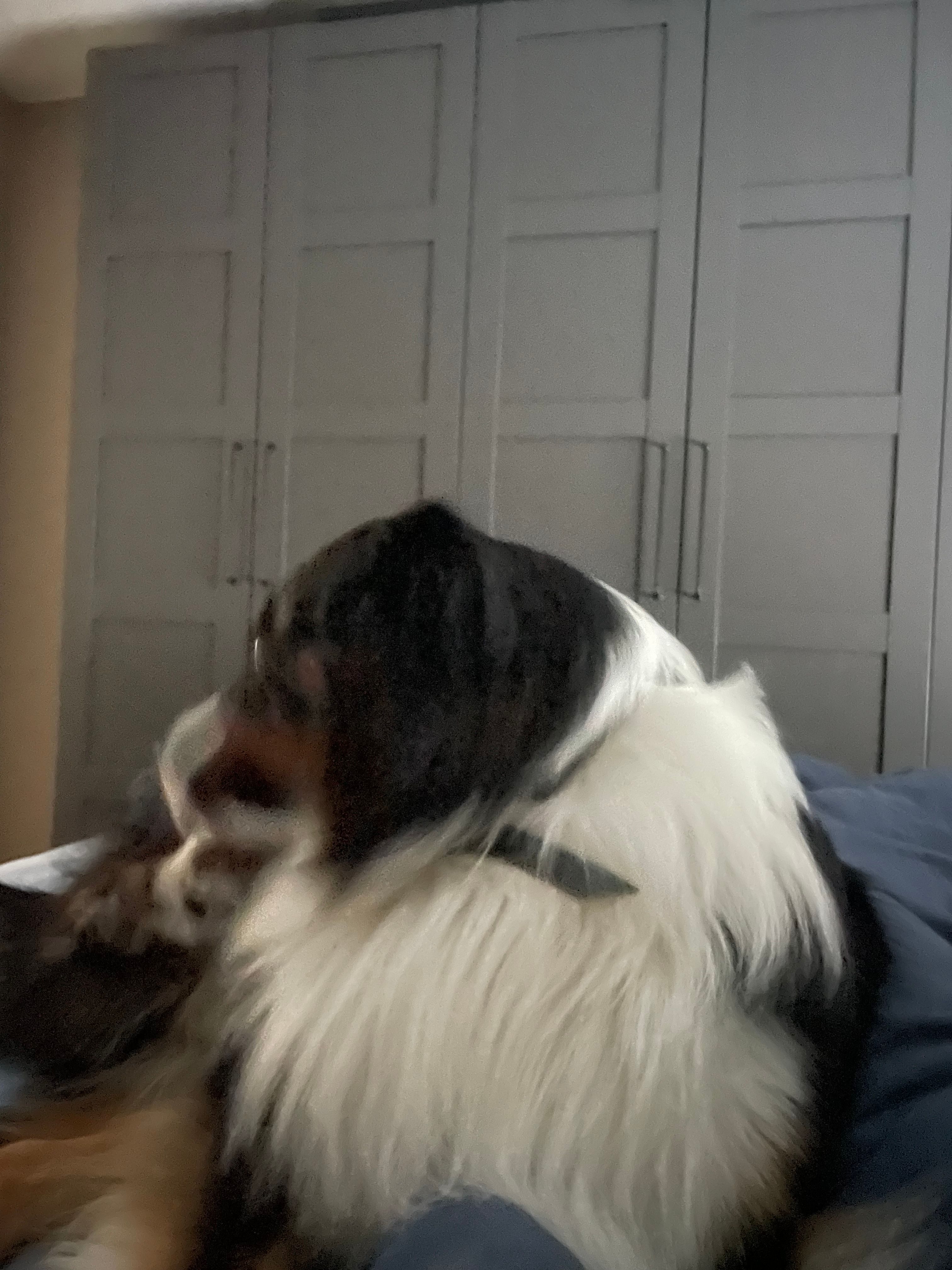 image-5