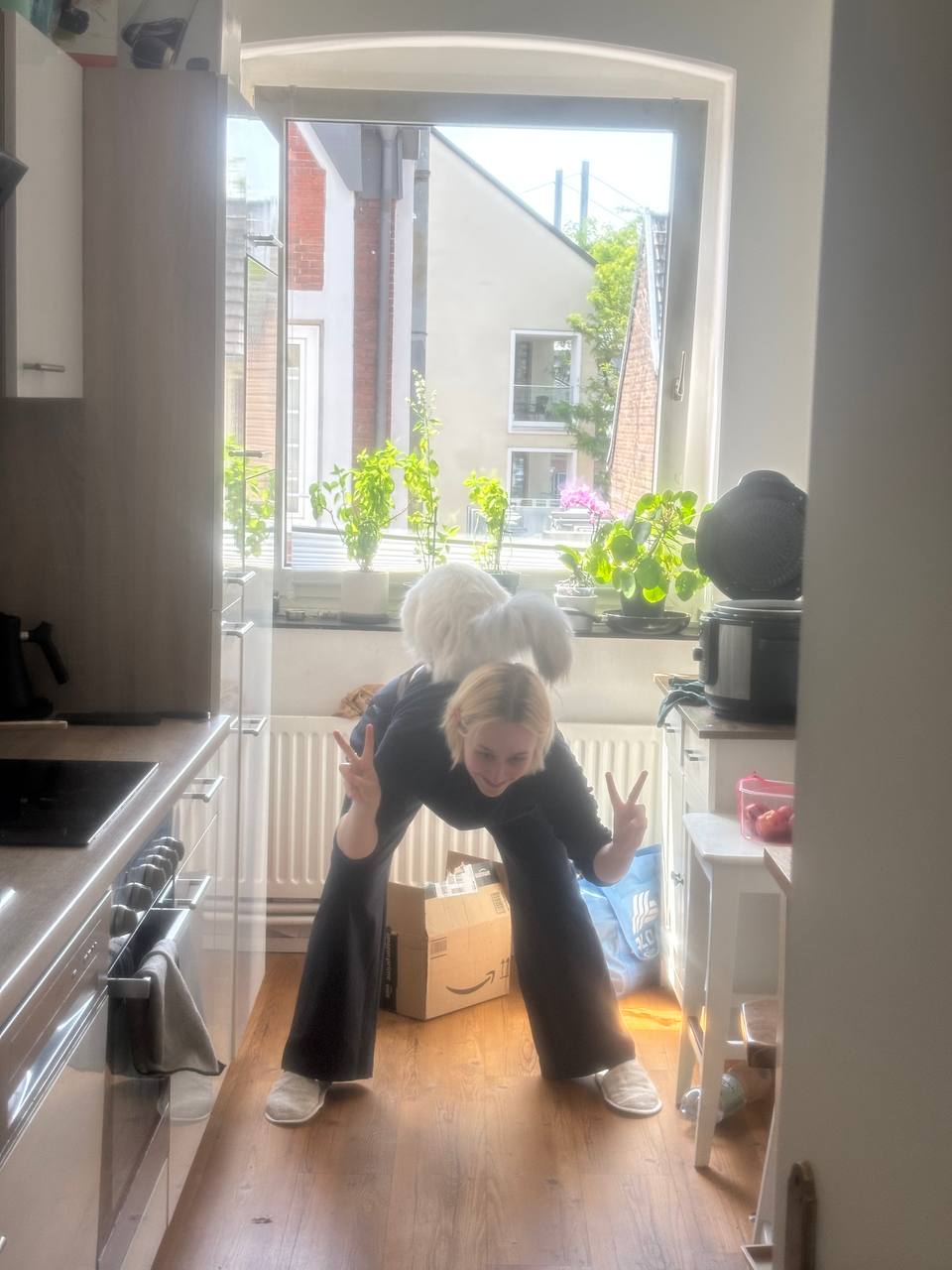 image-8