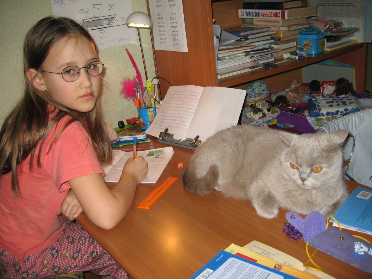 image-7