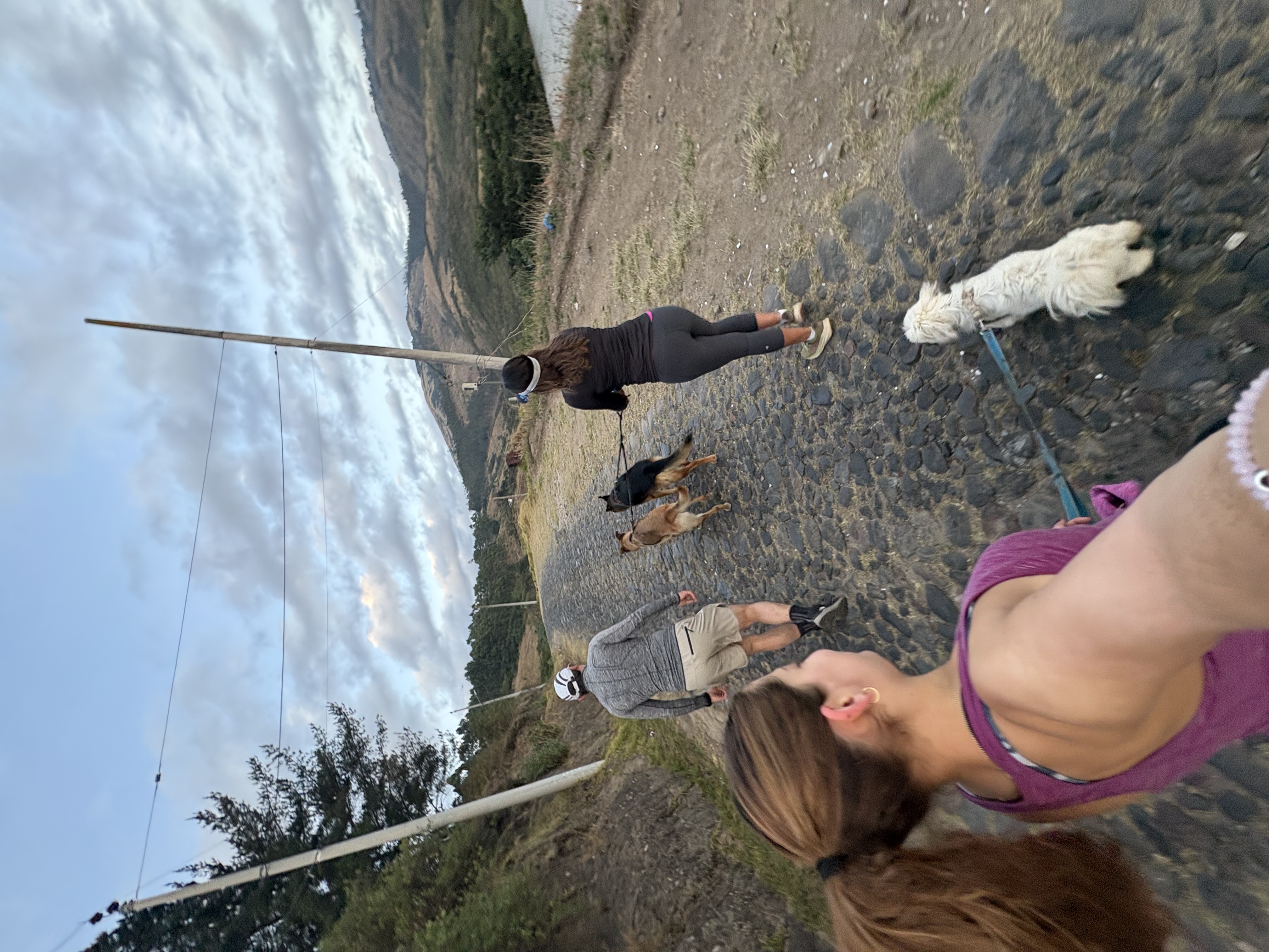 image-5