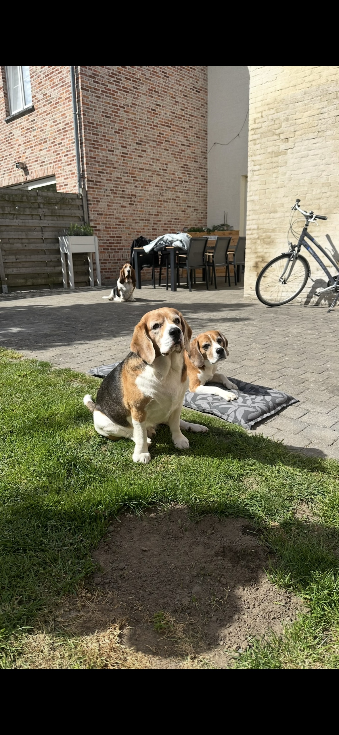 image-40