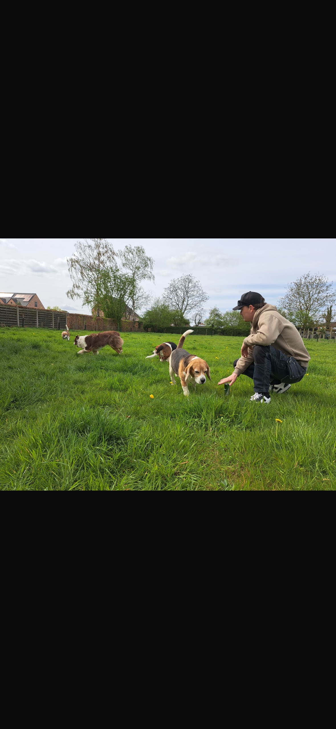 image-33