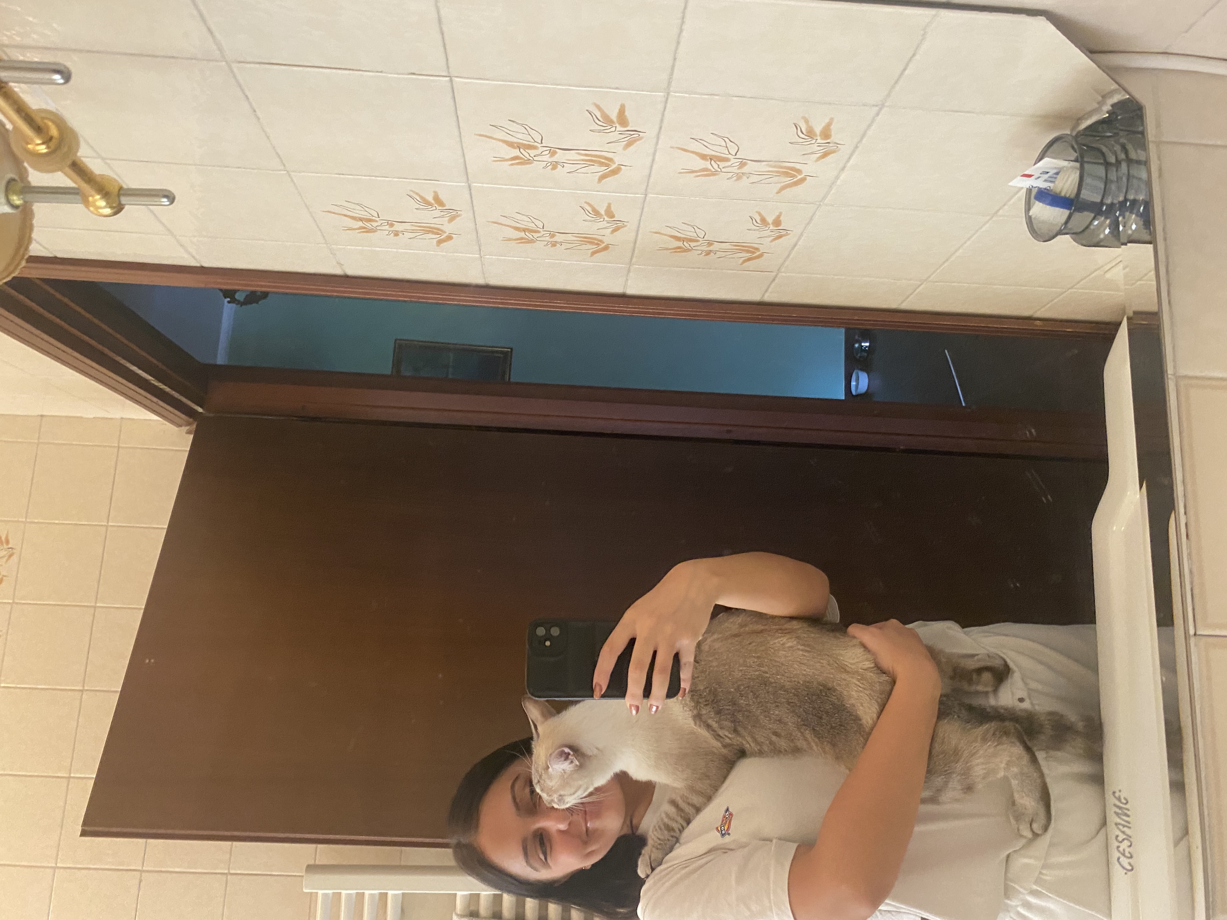 image-6