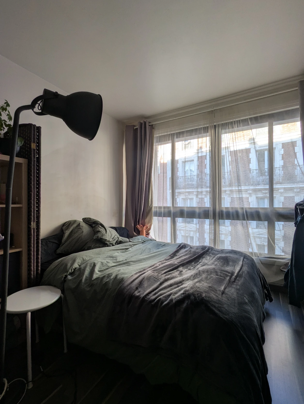 image-7