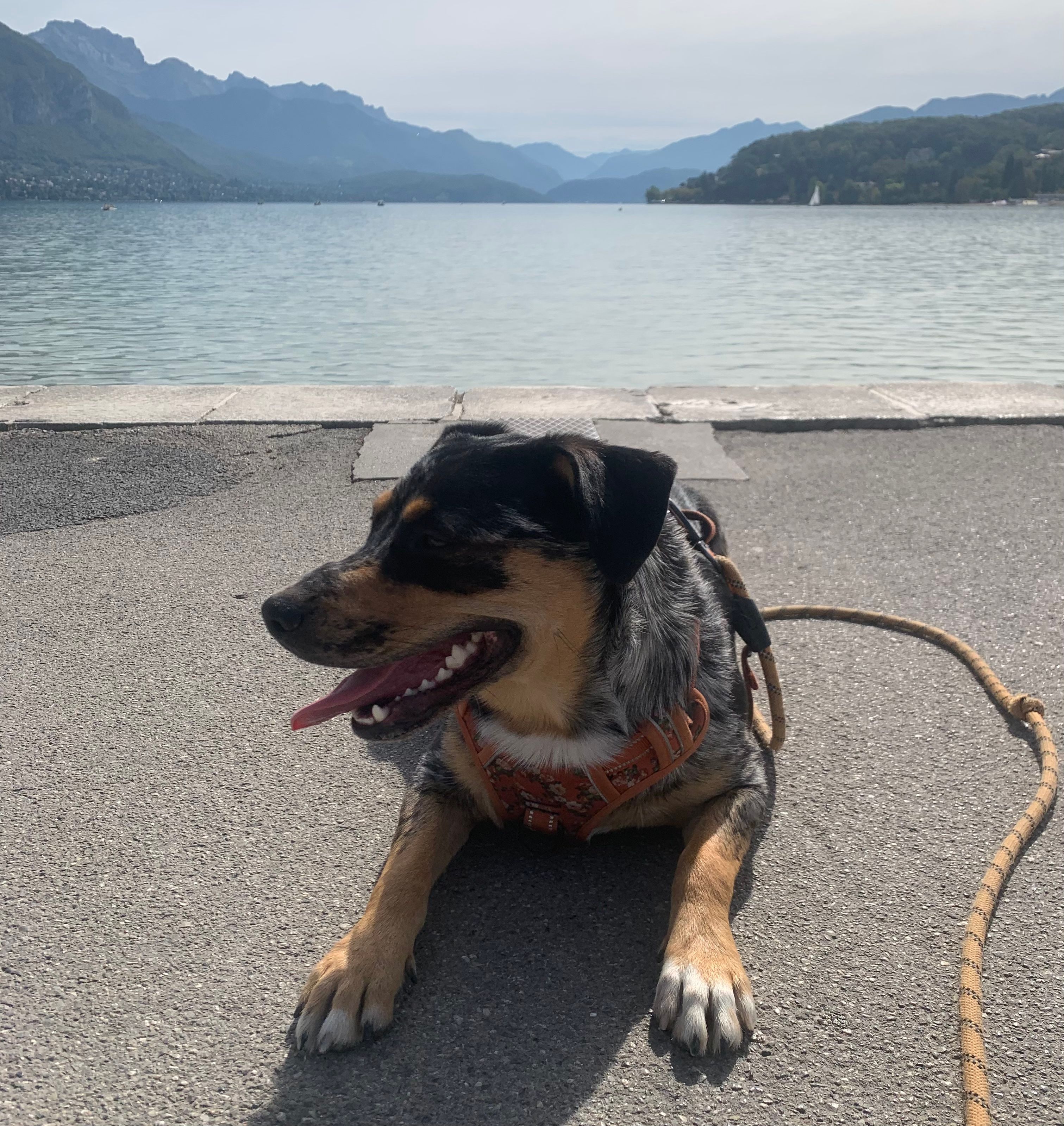 image-1
