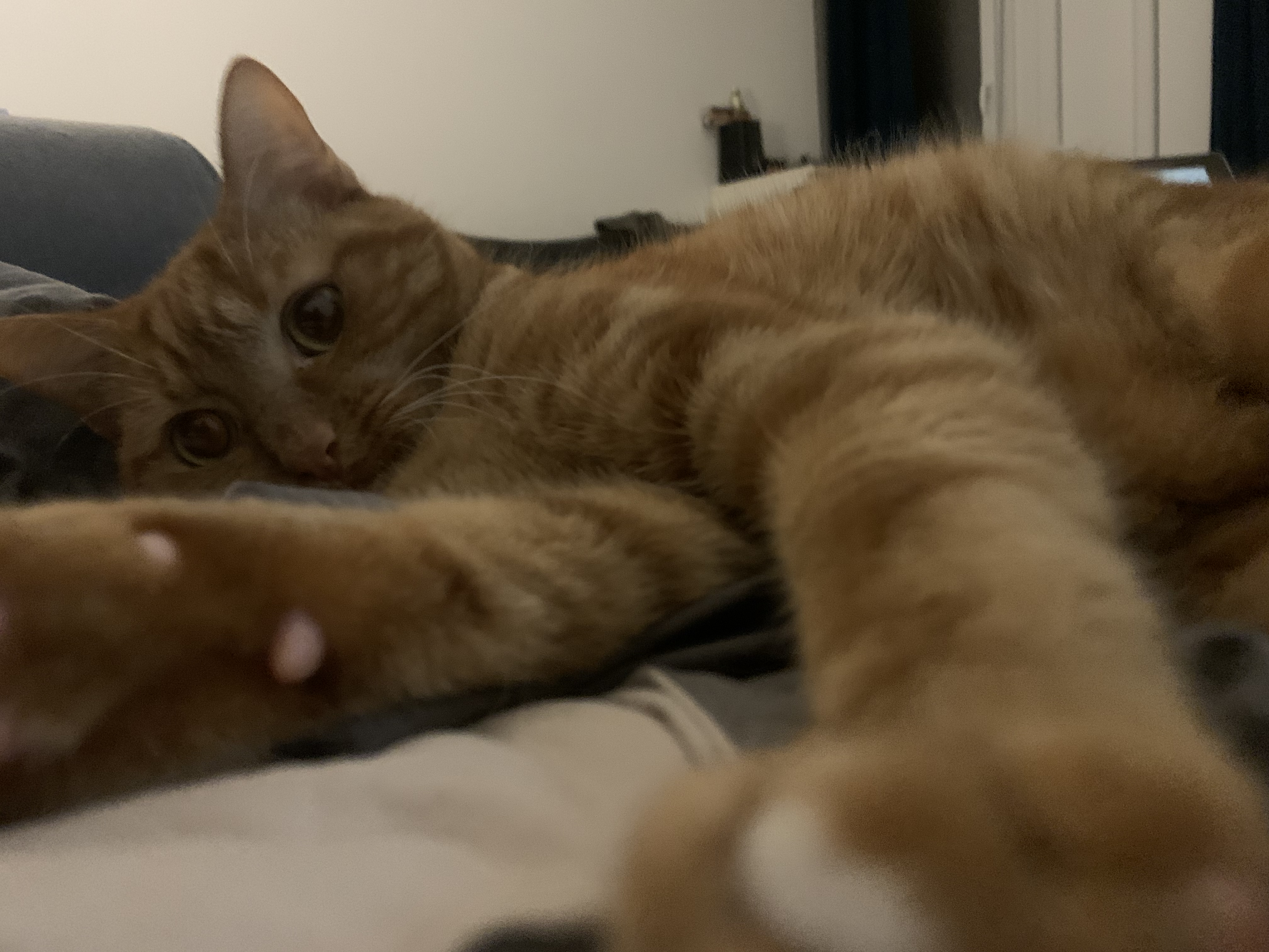 image-6