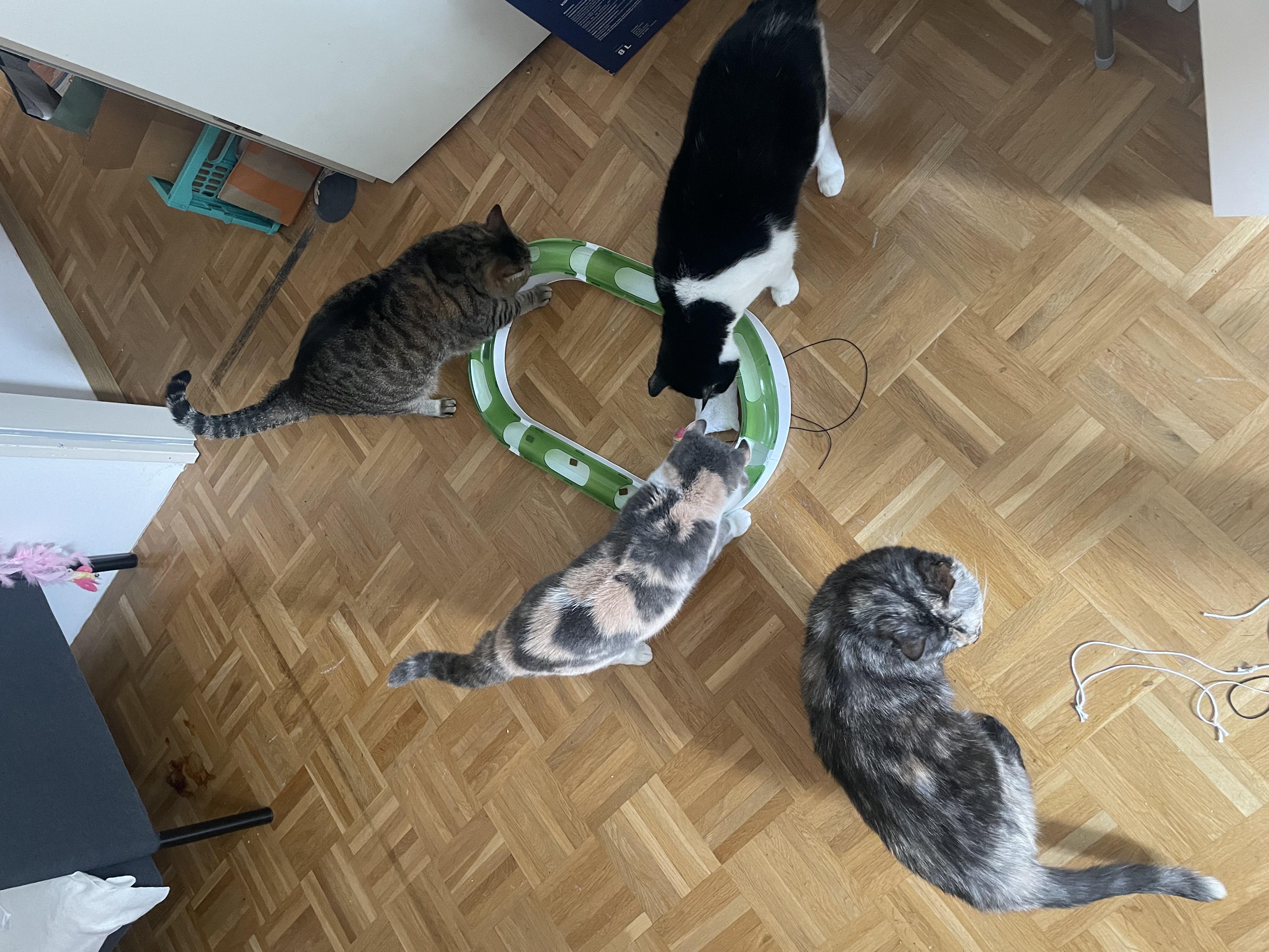 image-9