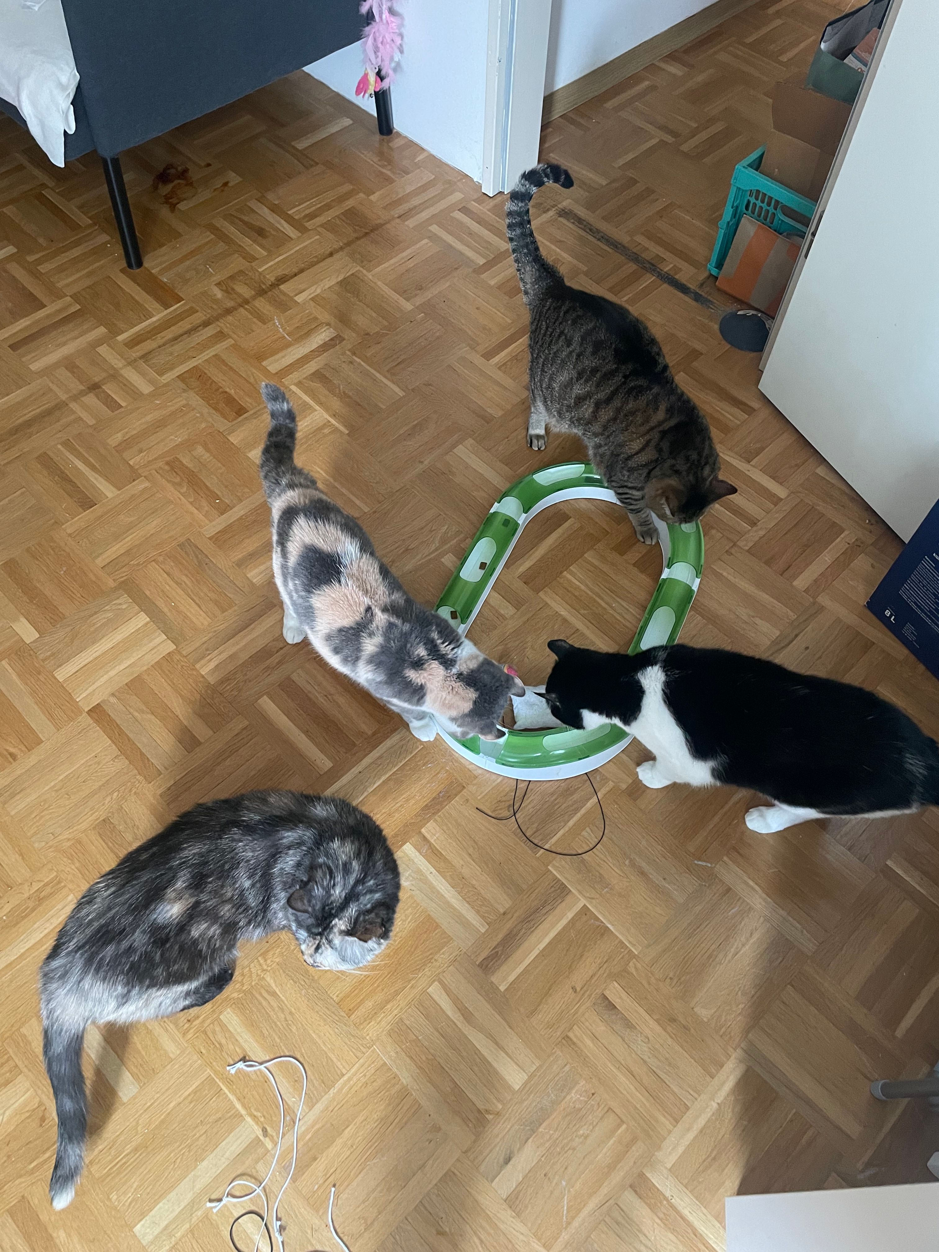 image-9