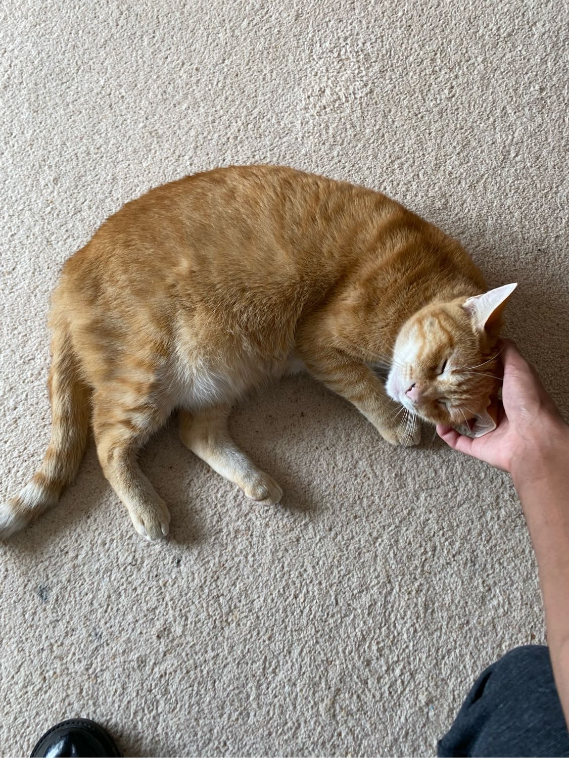 image-8