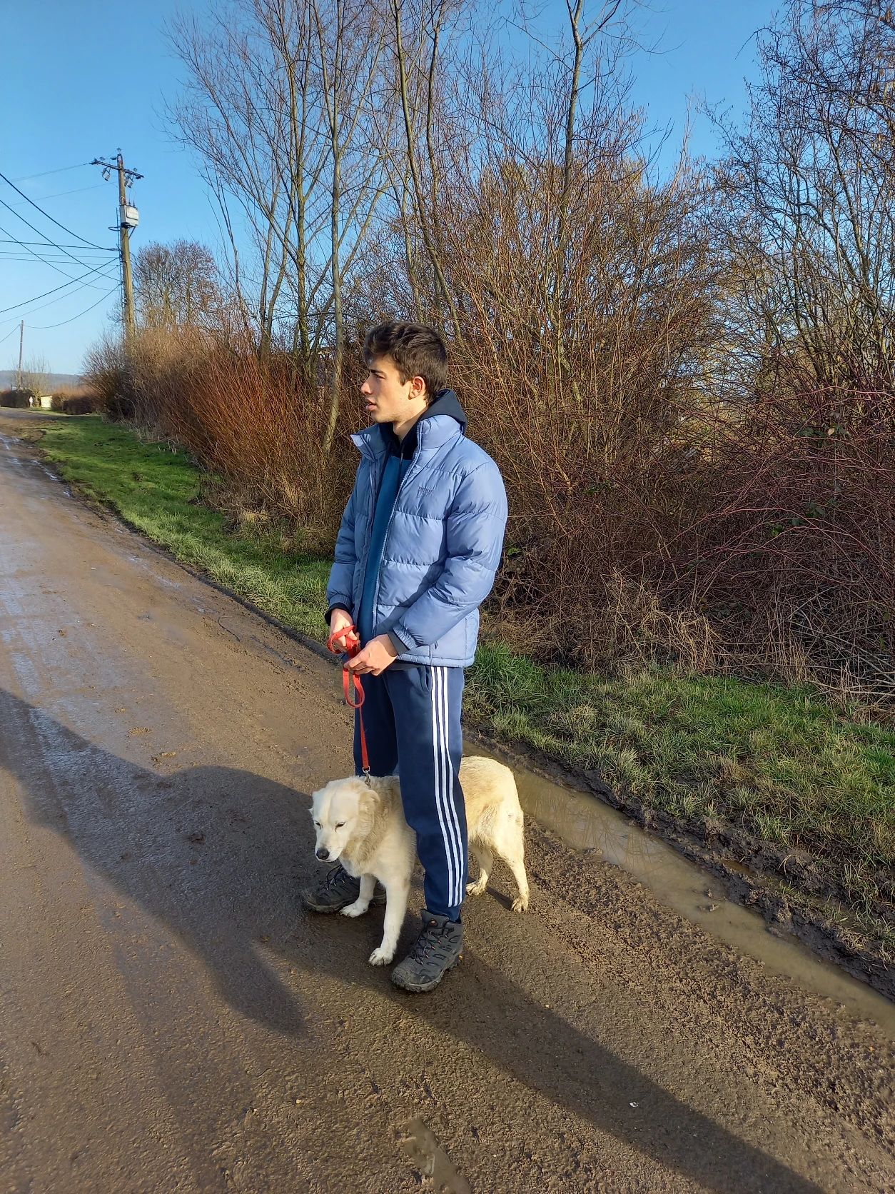 image-0