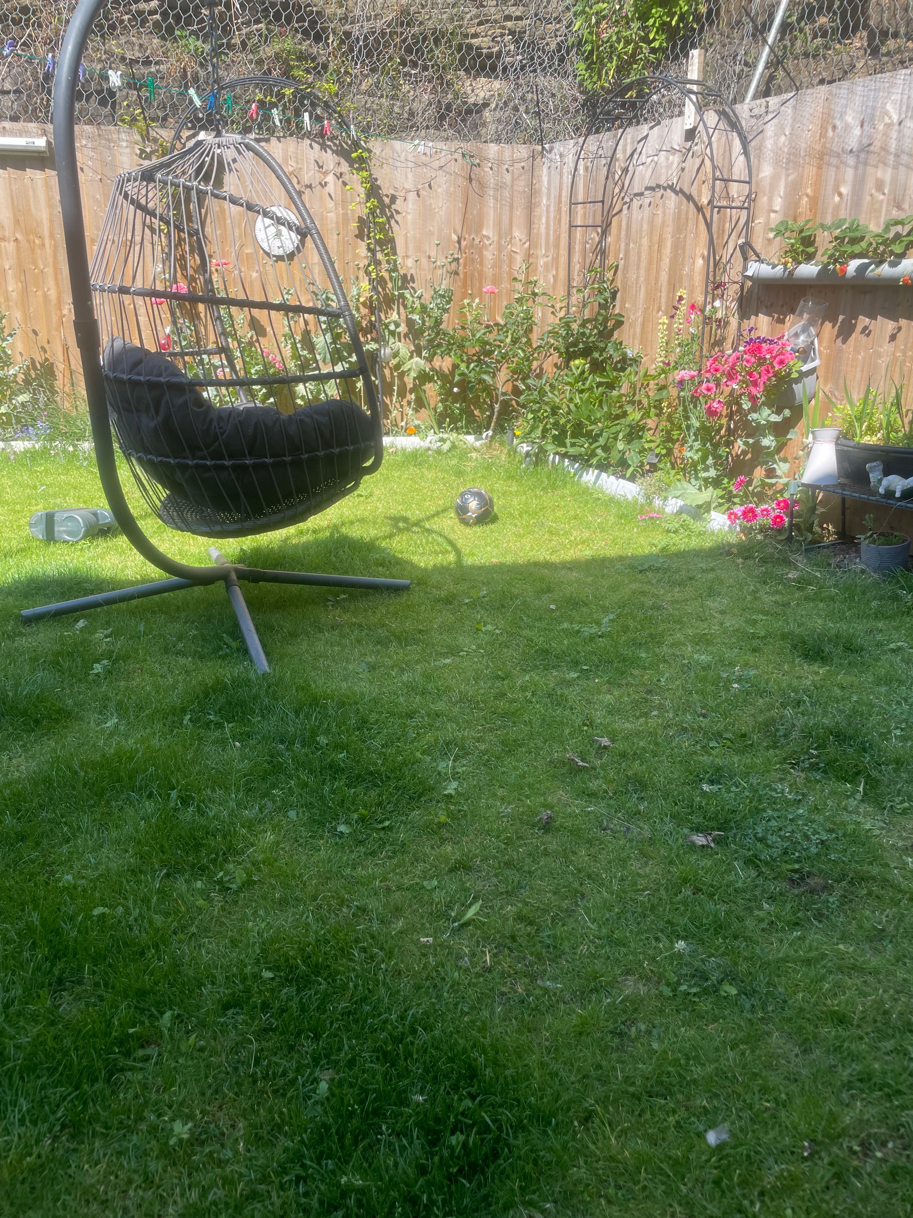 image-16