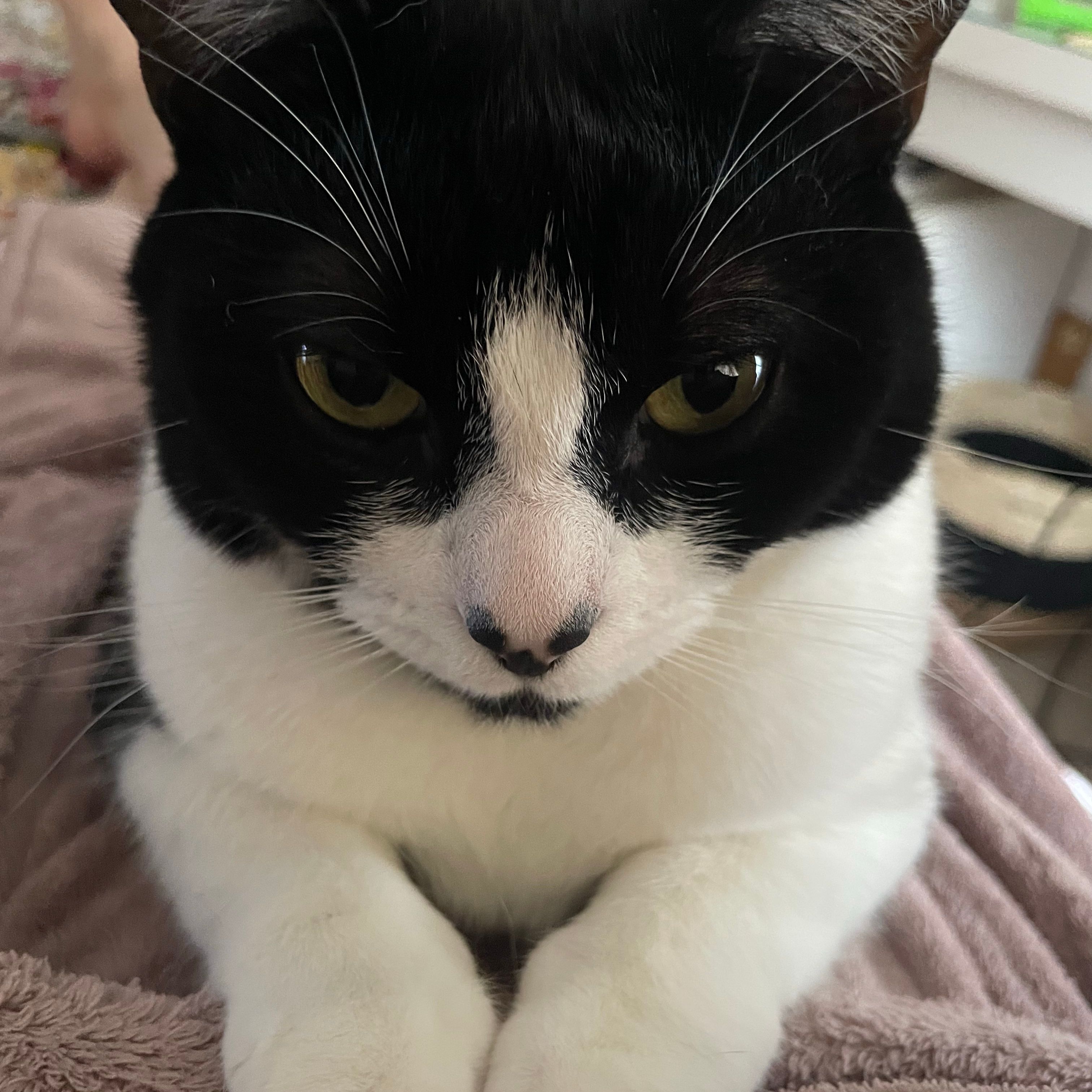 Tilly