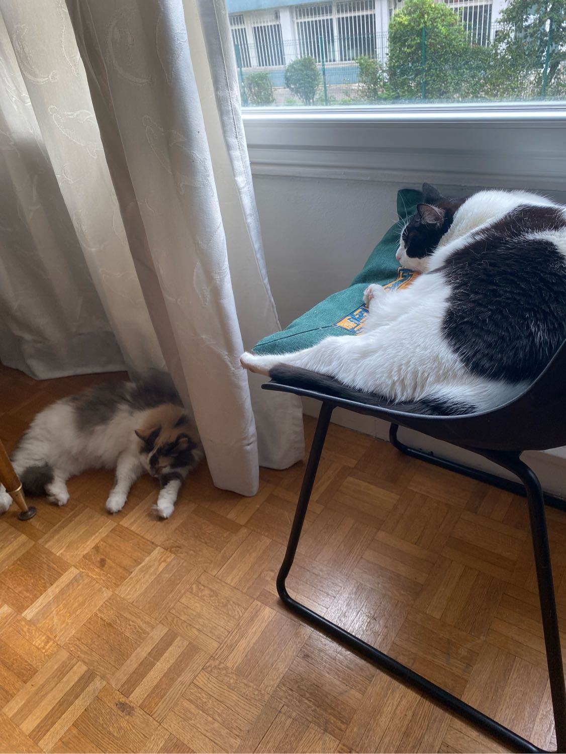 image-18