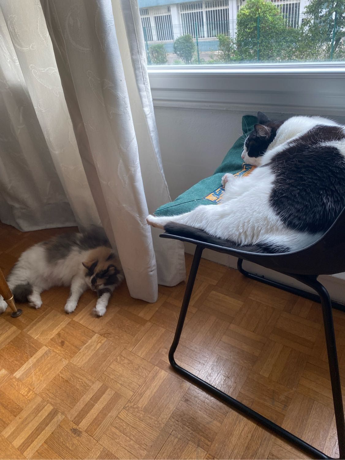 image-18