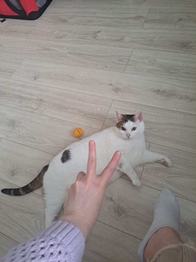 image-4