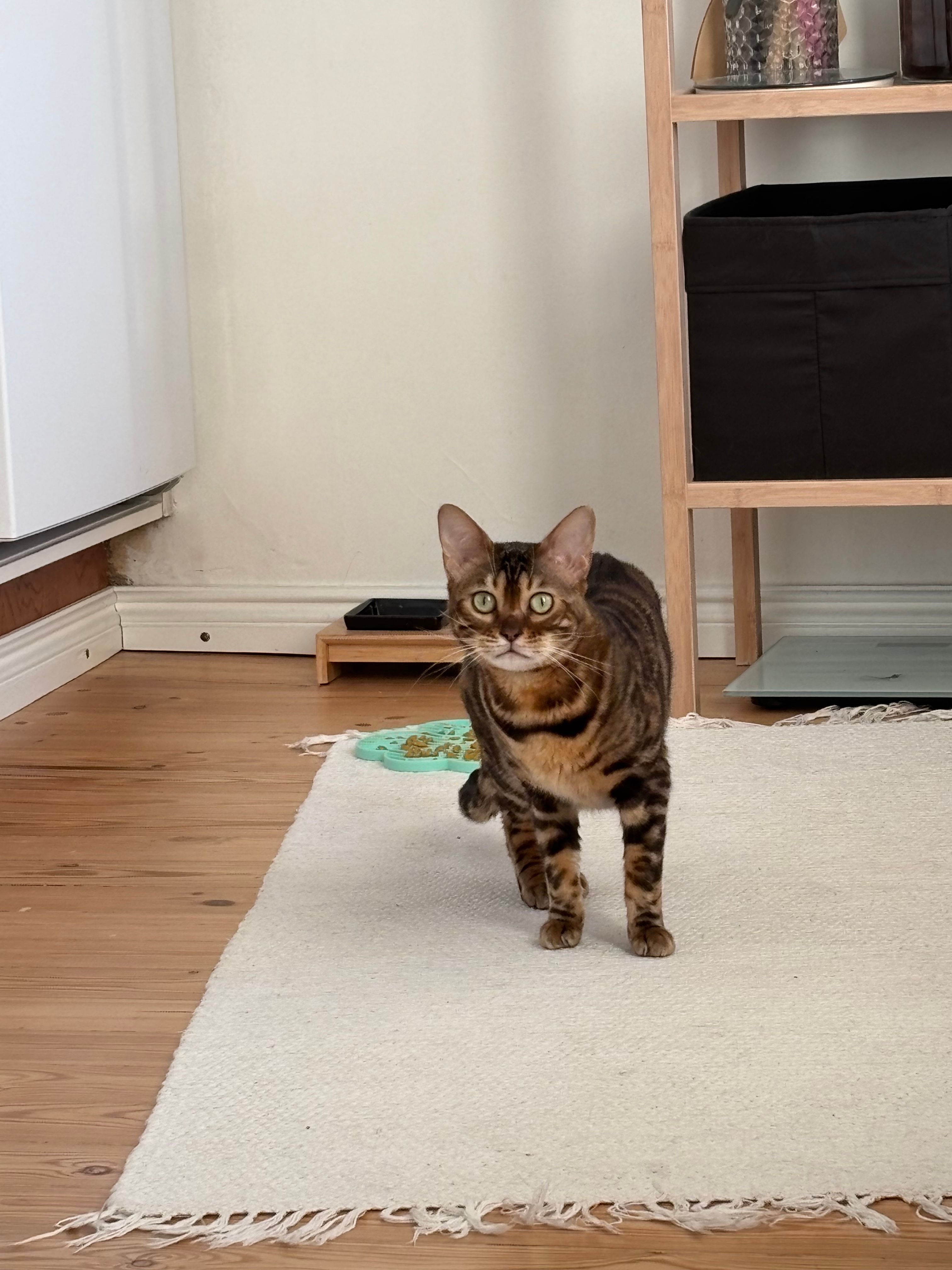 image-13