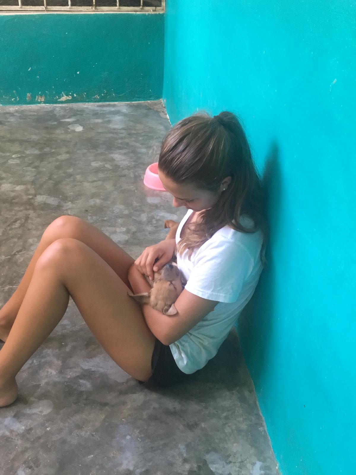 image-6