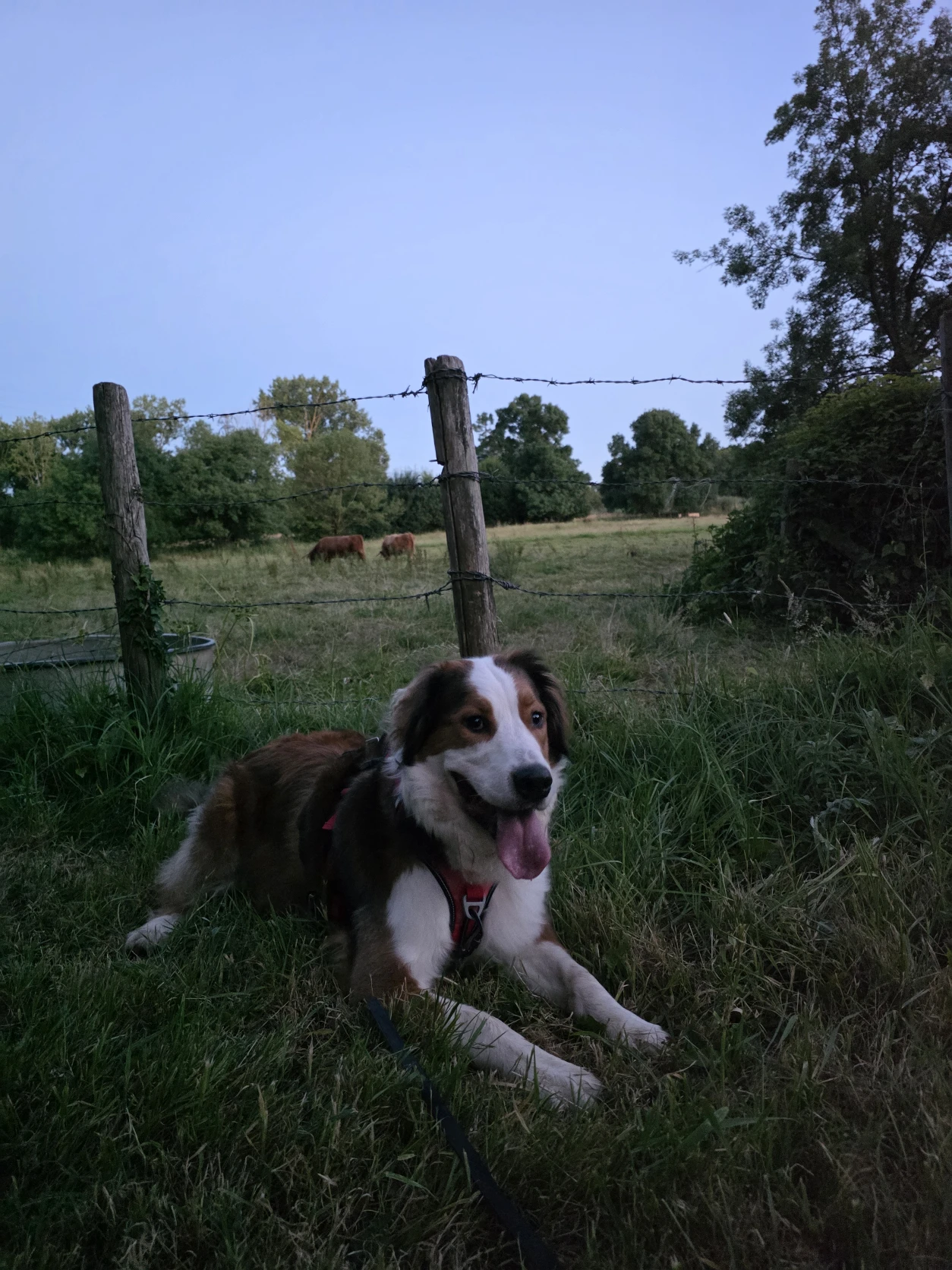 image-8