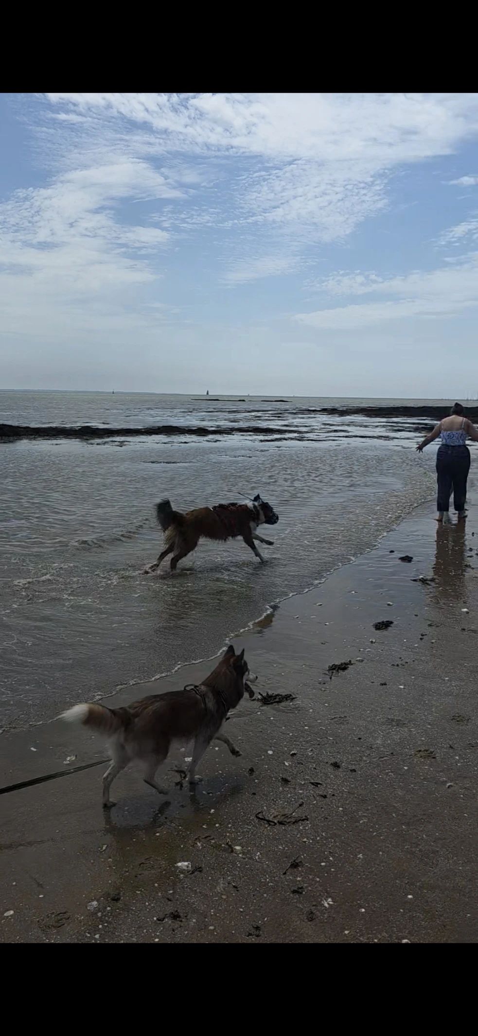 image-11