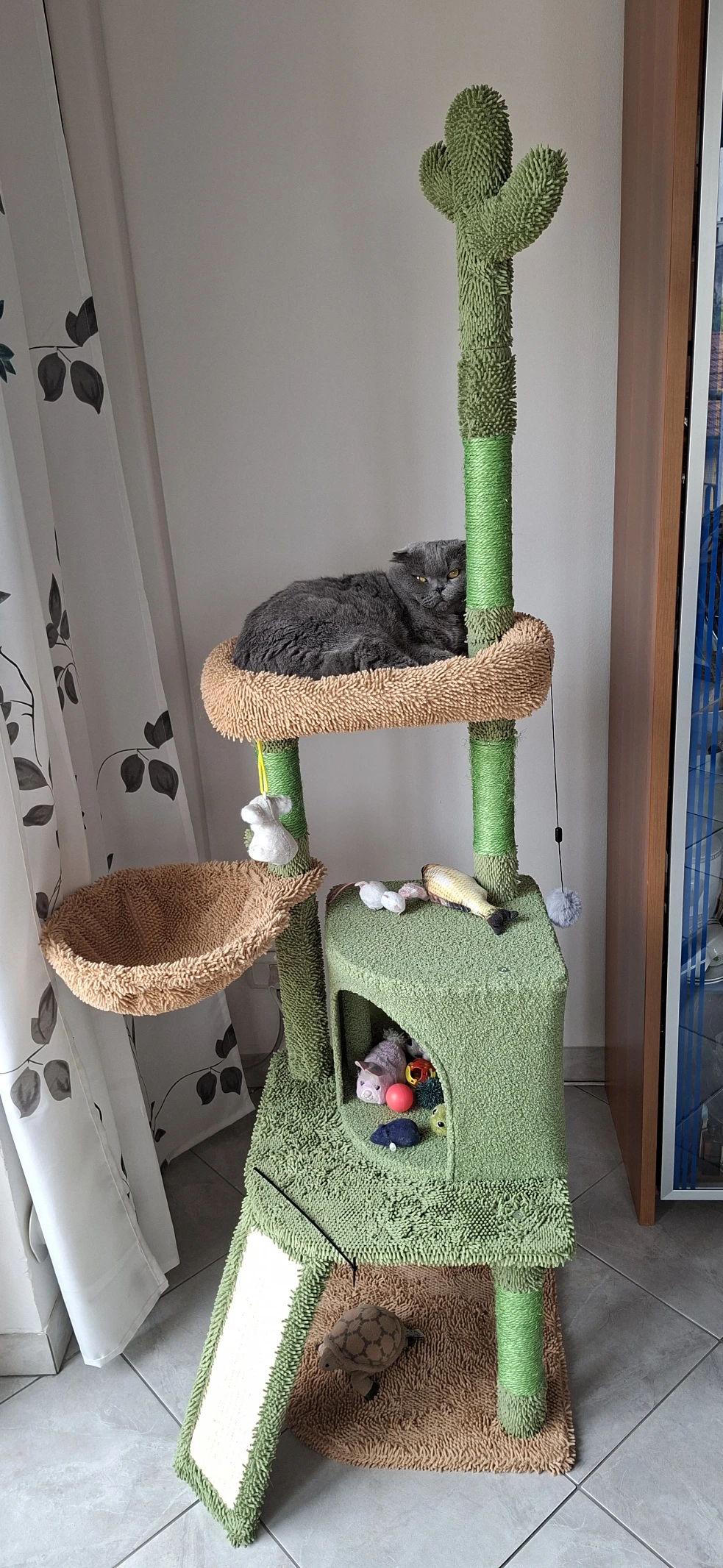 image-15
