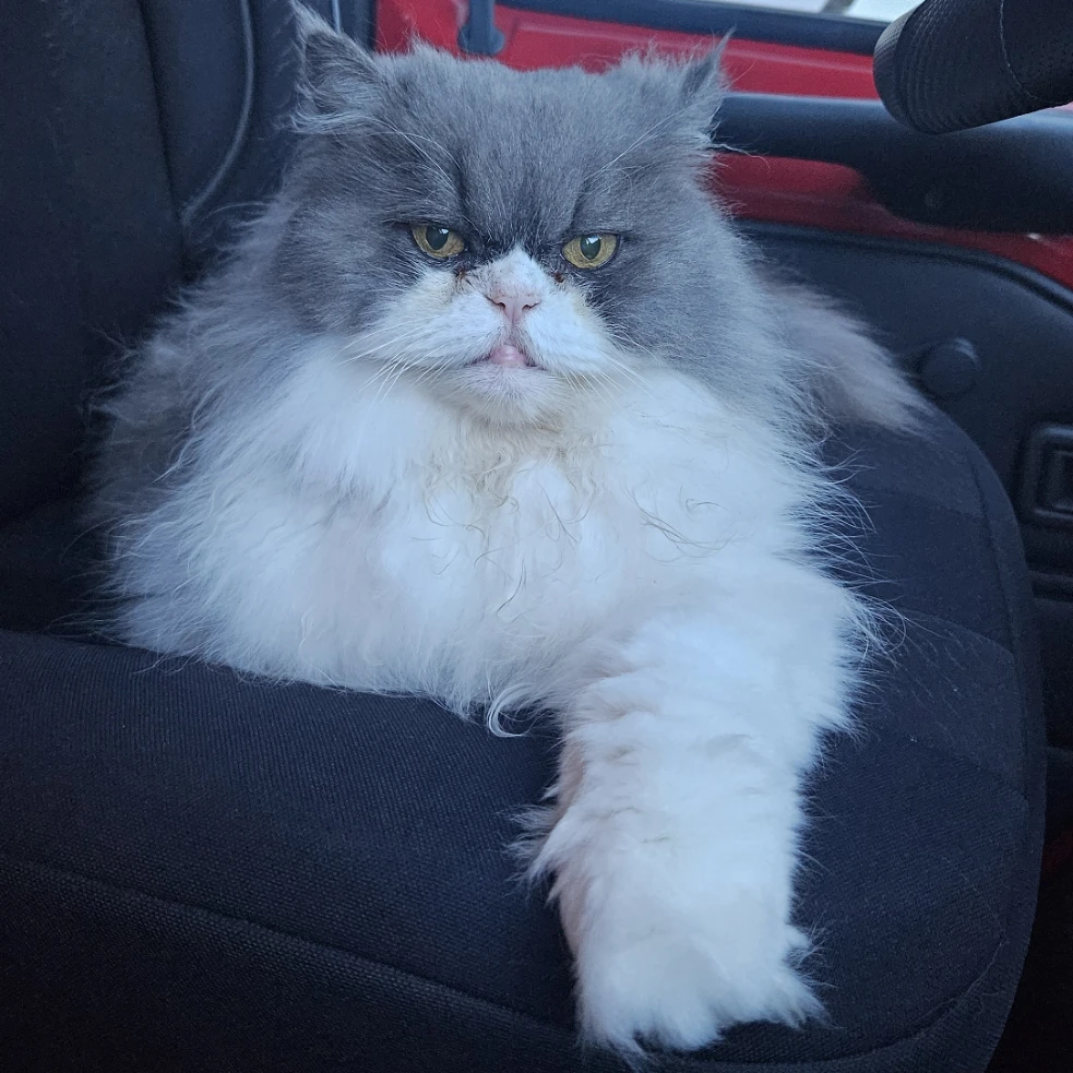 Garfield