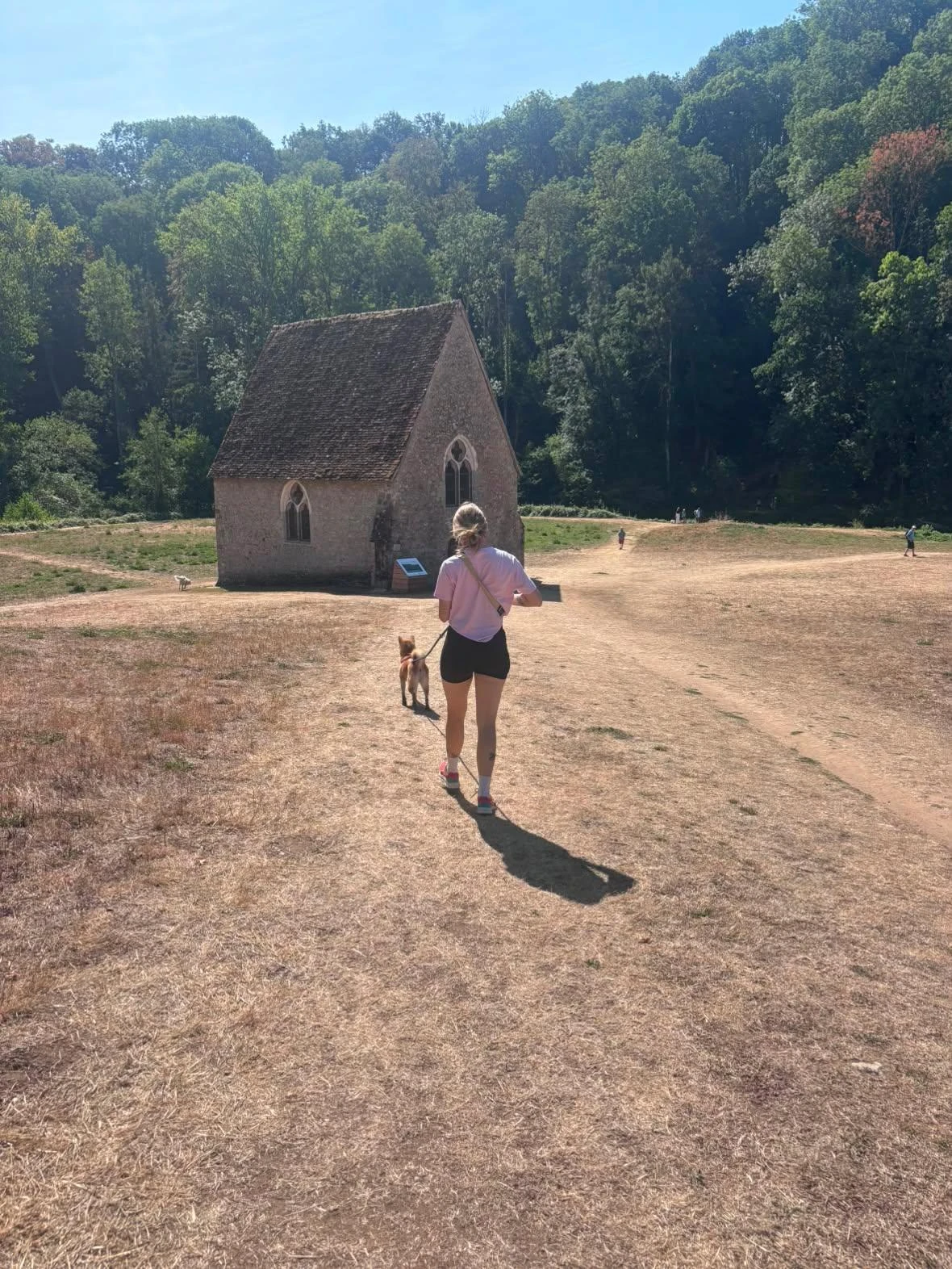 image-1