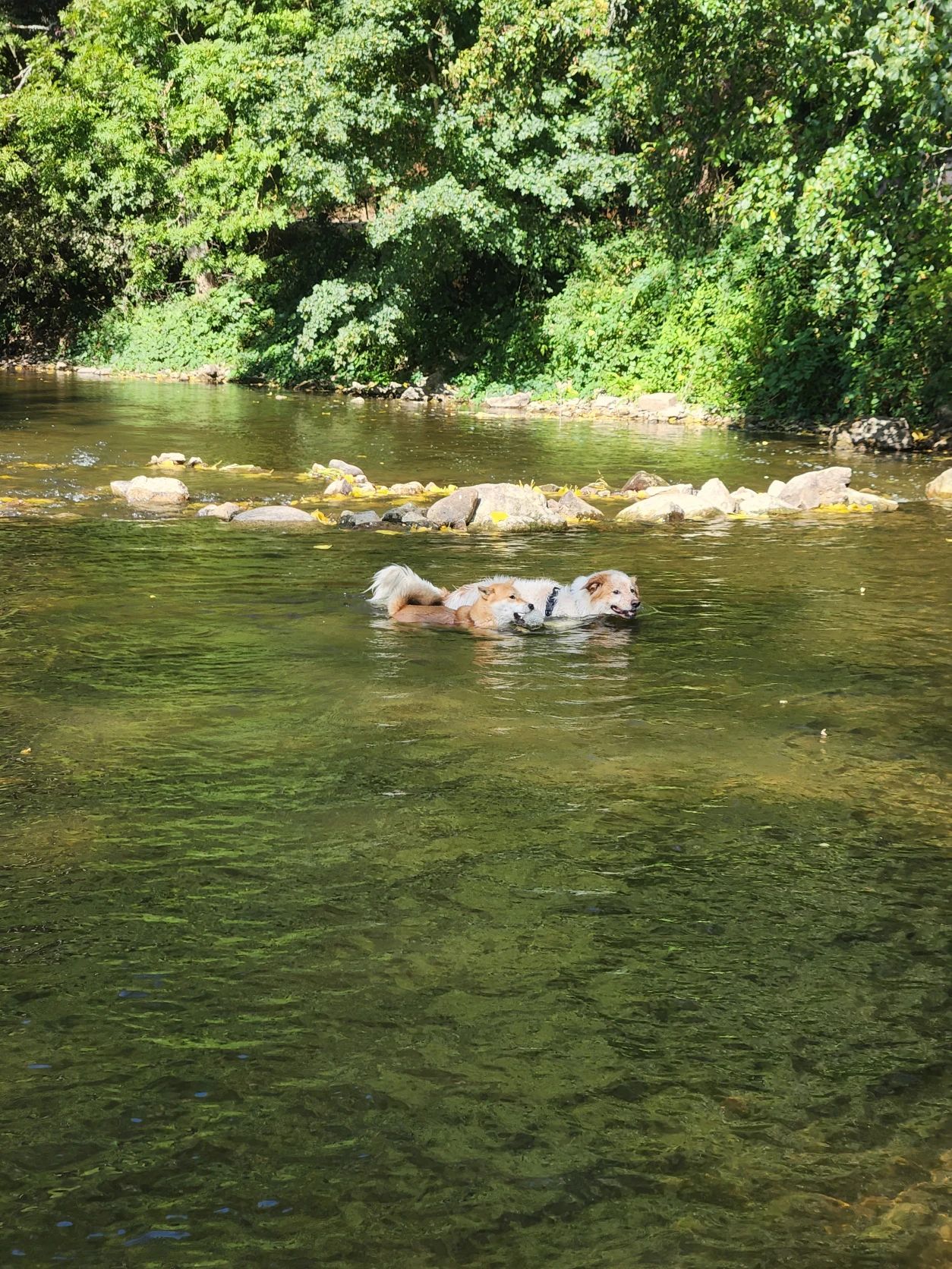 image-4