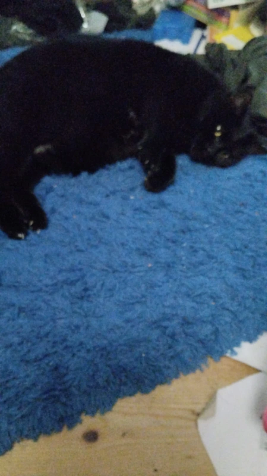 image-7
