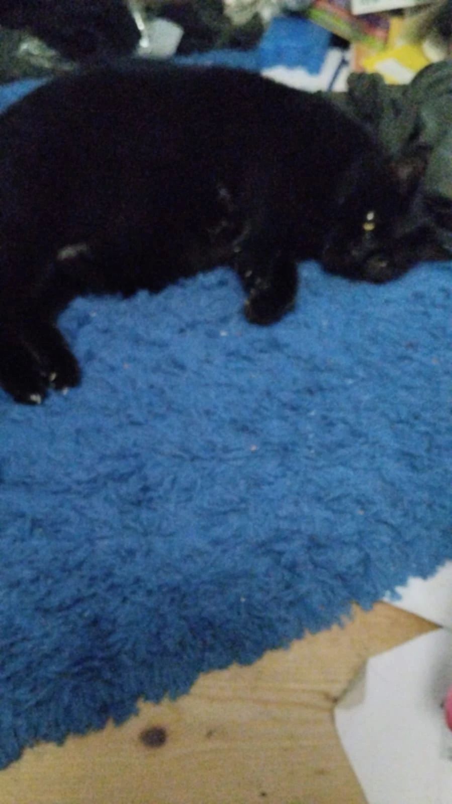 image-7