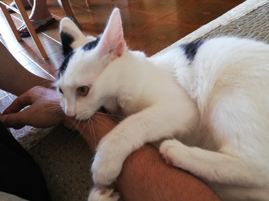 image-6