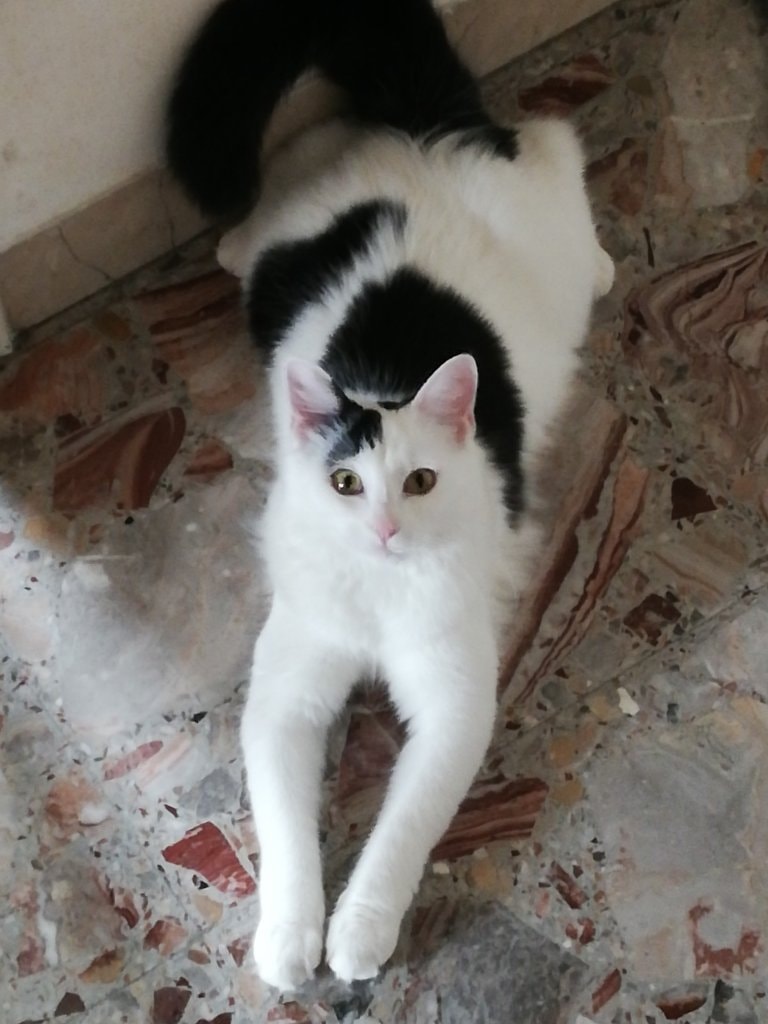 image-3