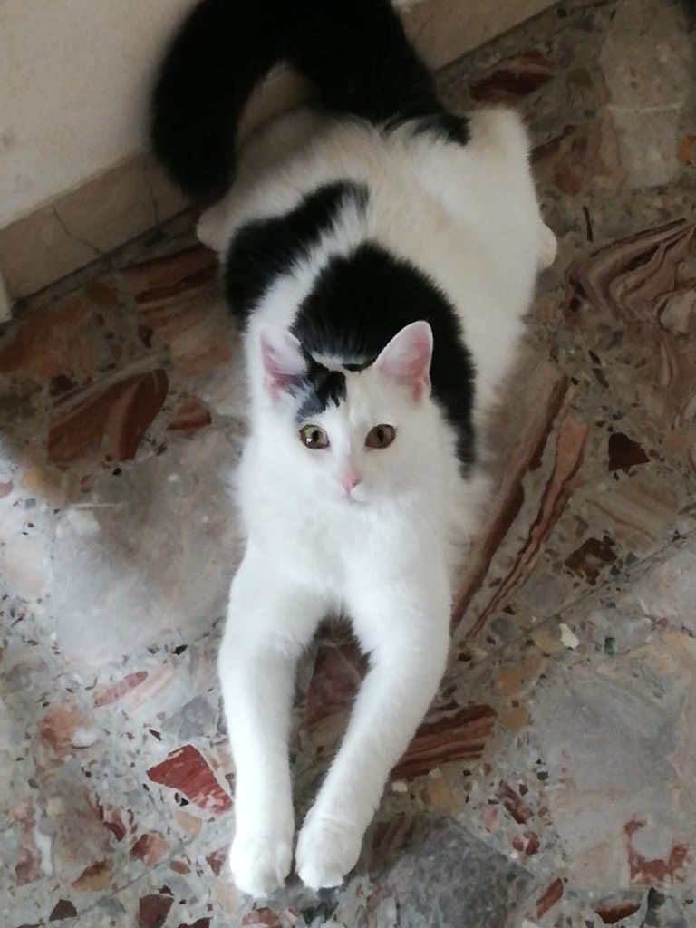 image-3