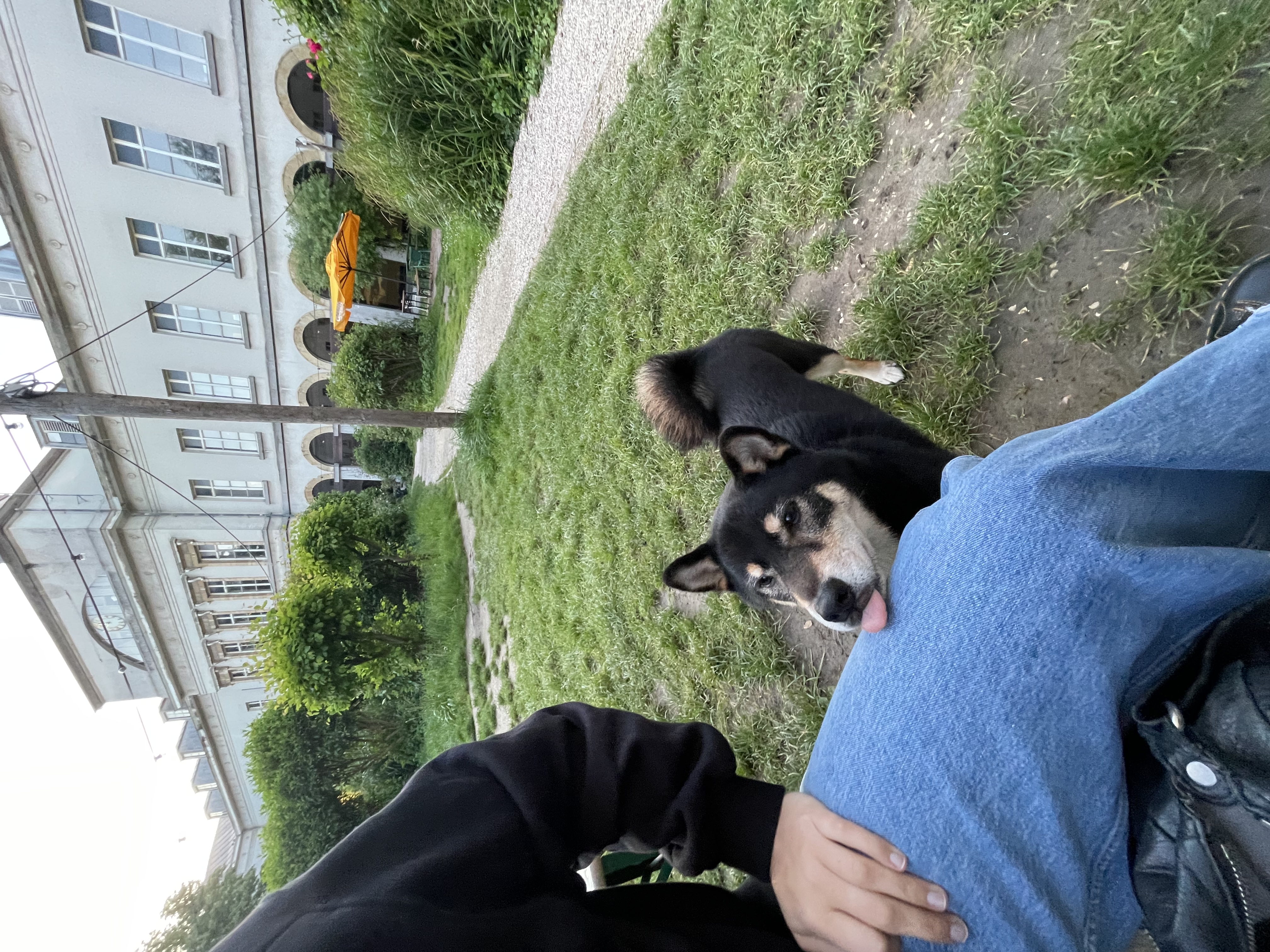 image-16