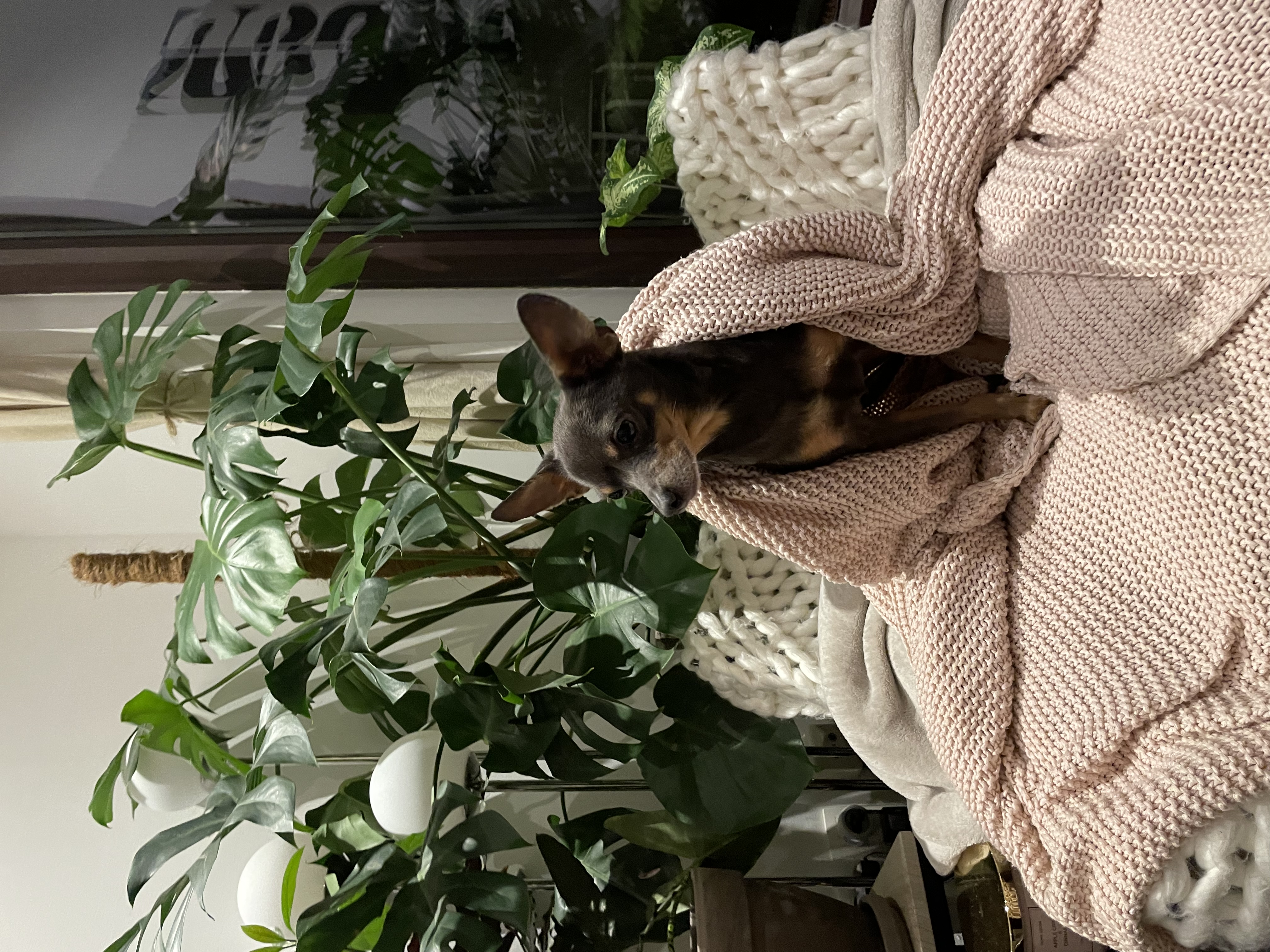 image-6