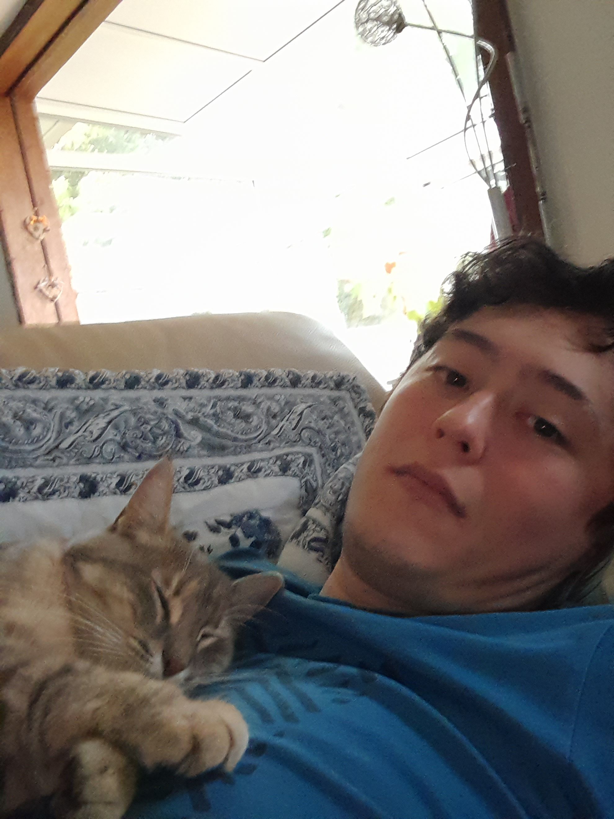 image-6