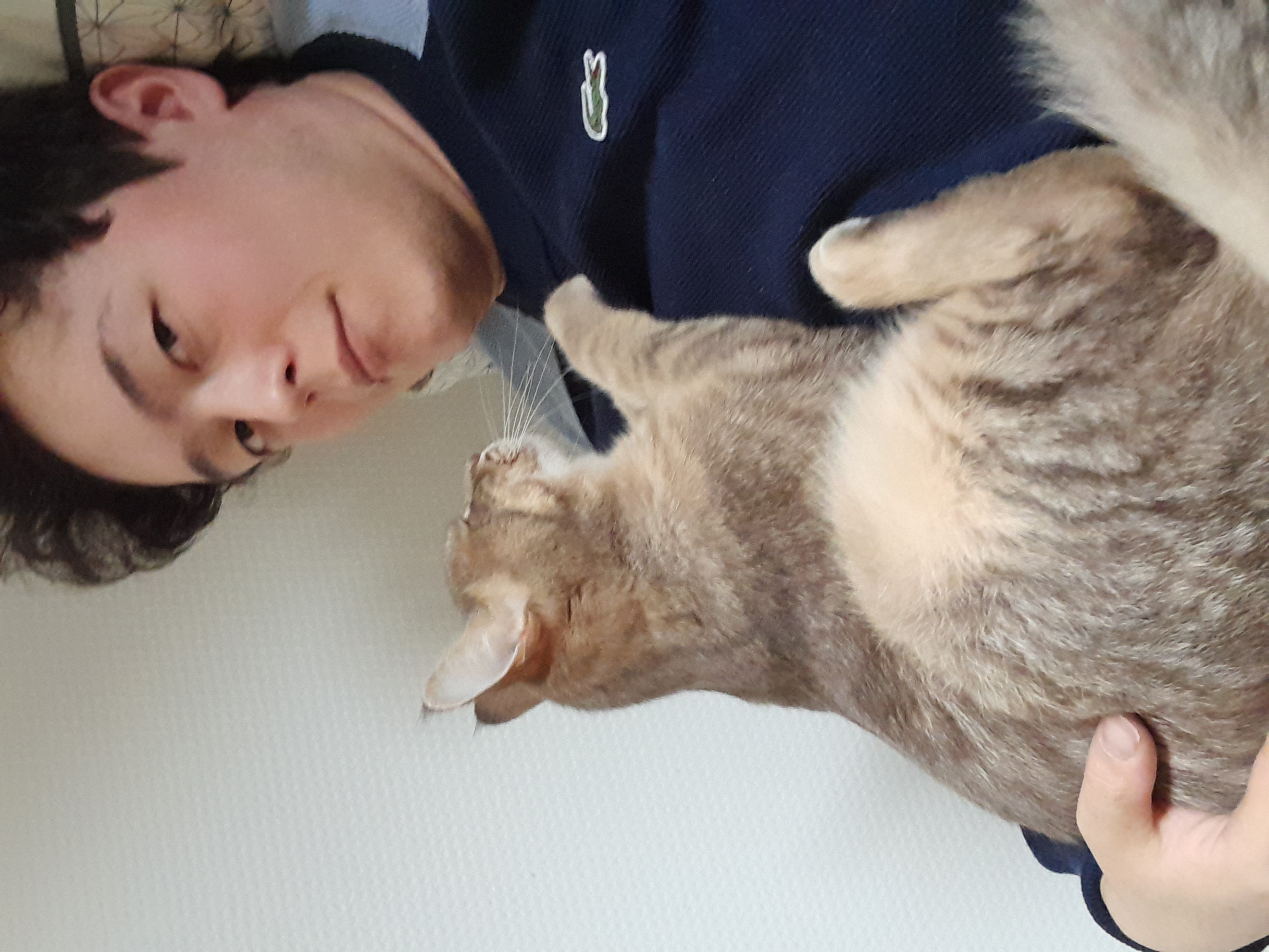 image-8