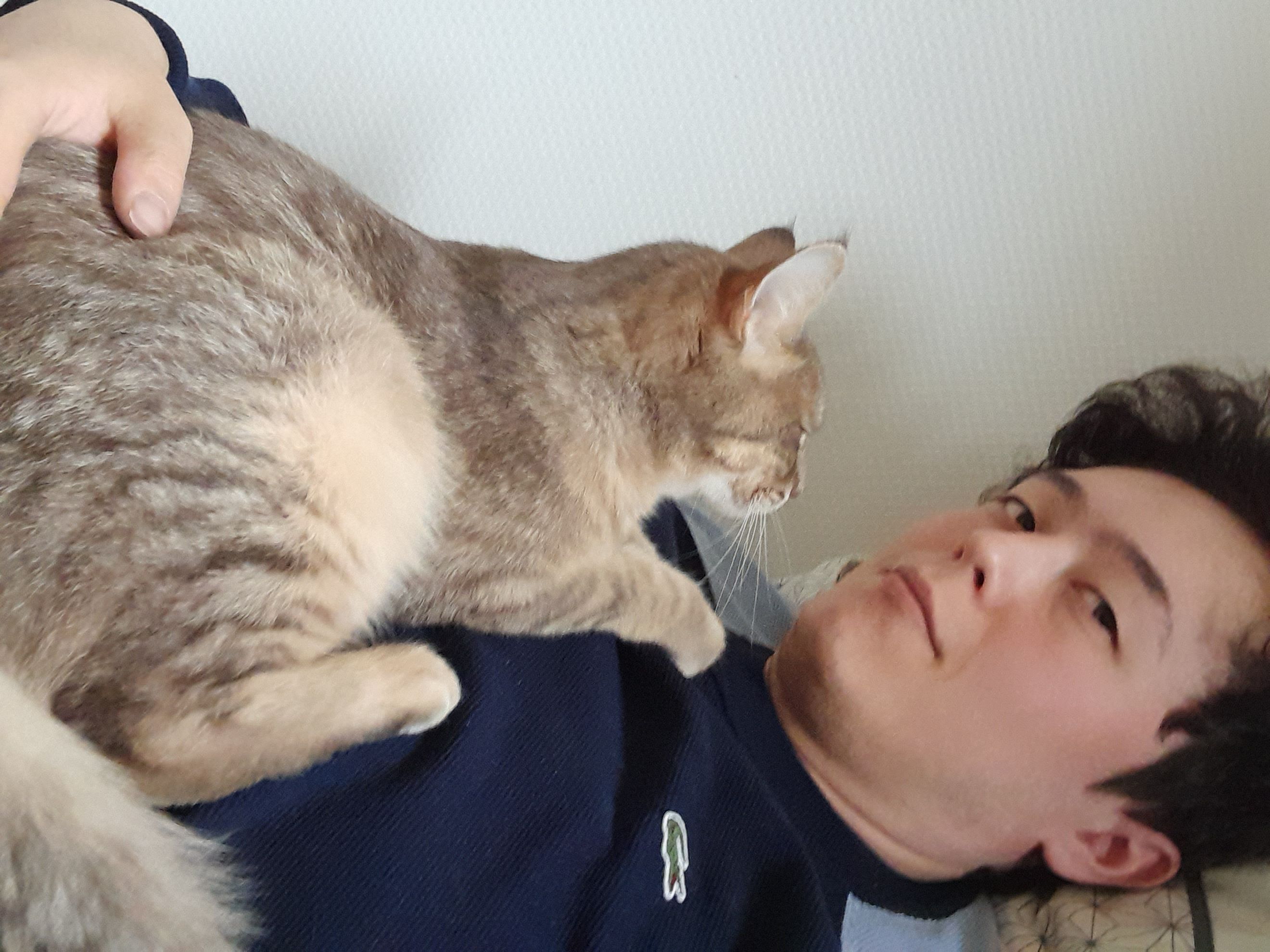 image-8