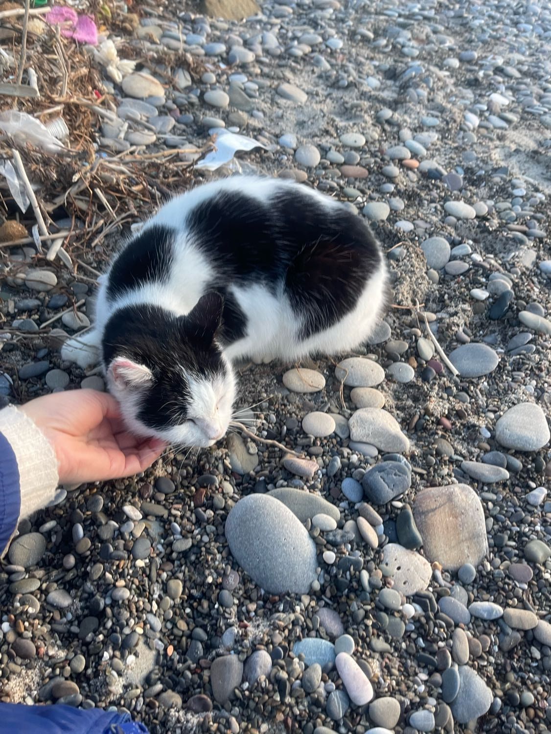 image-13