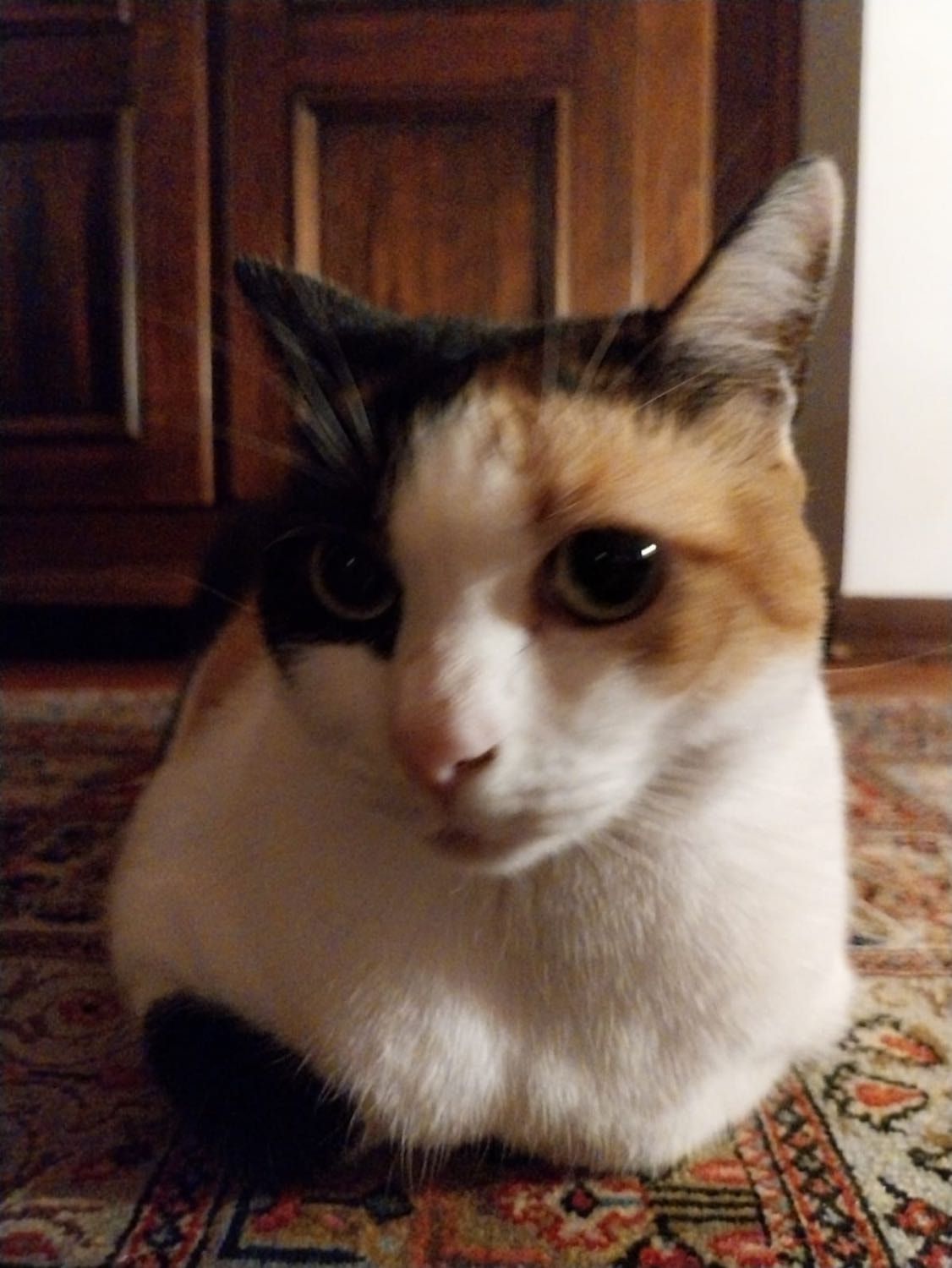 image-8