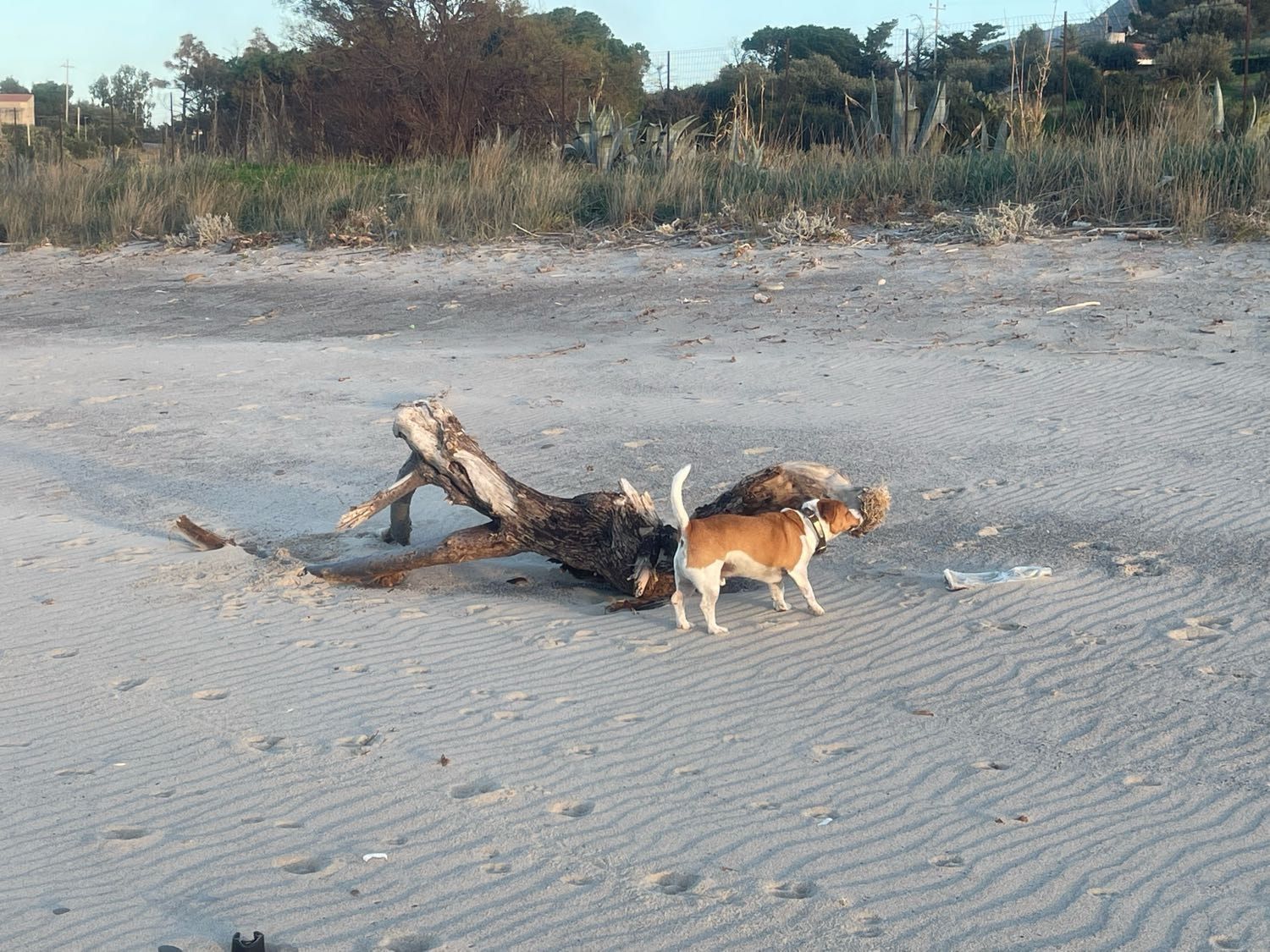 image-9