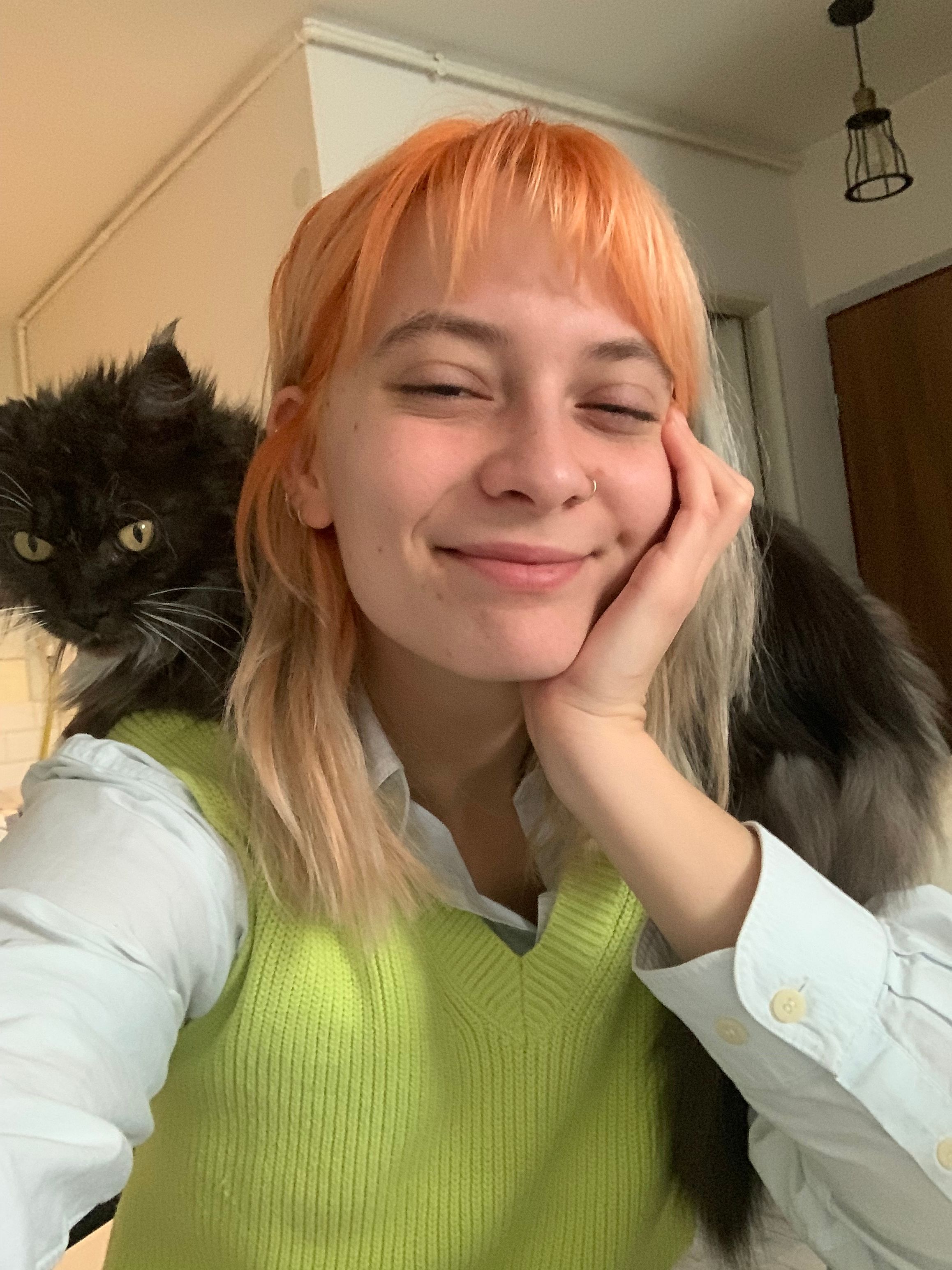 image-7