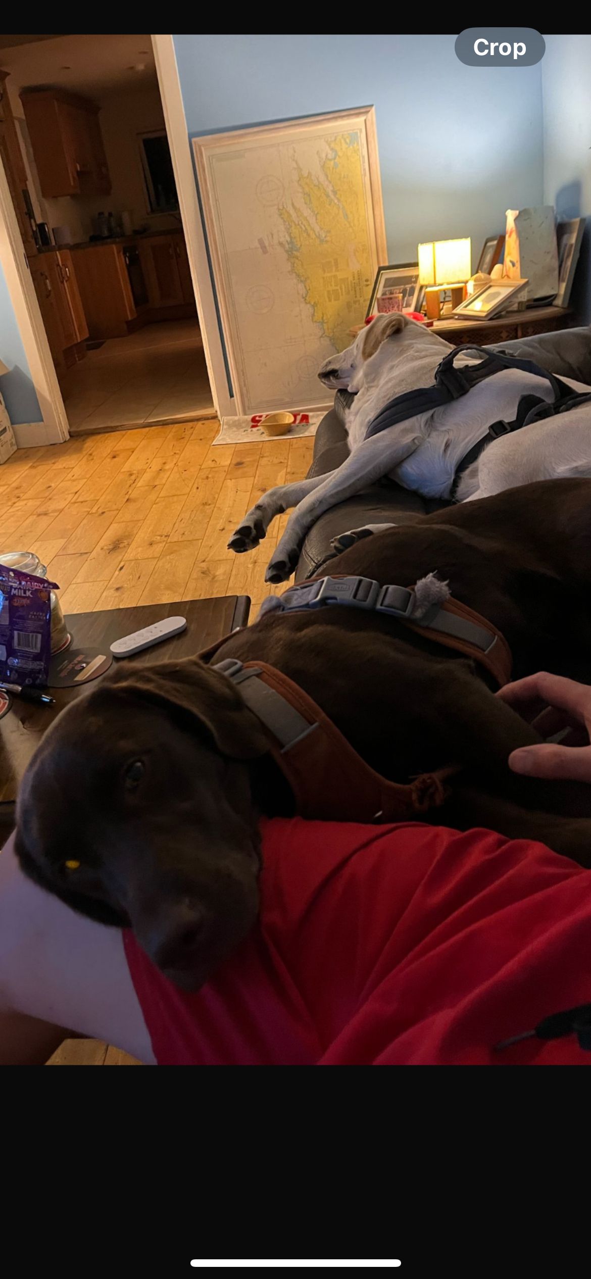 image-6