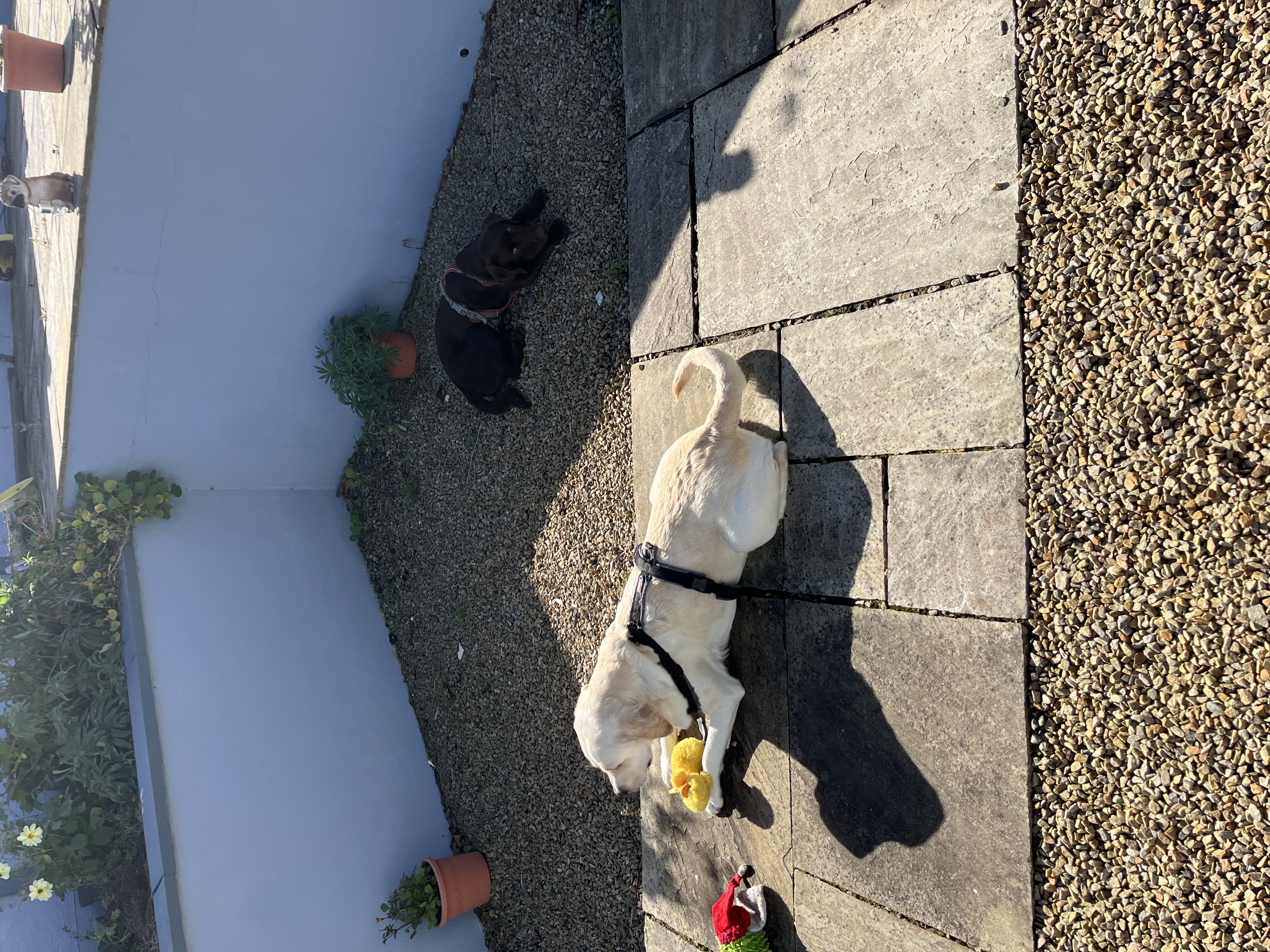 image-20