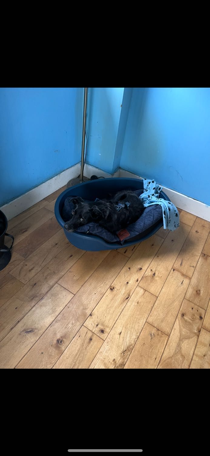 image-14