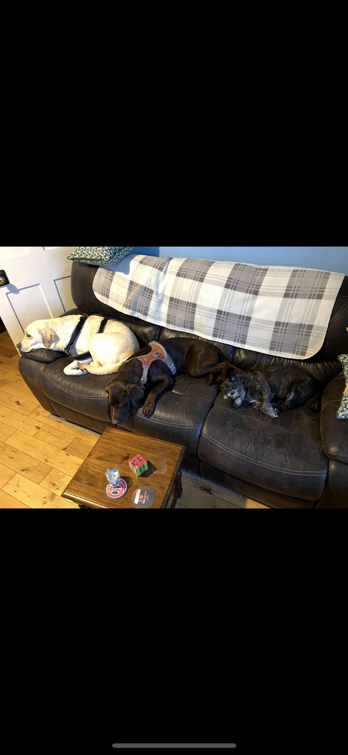 image-19